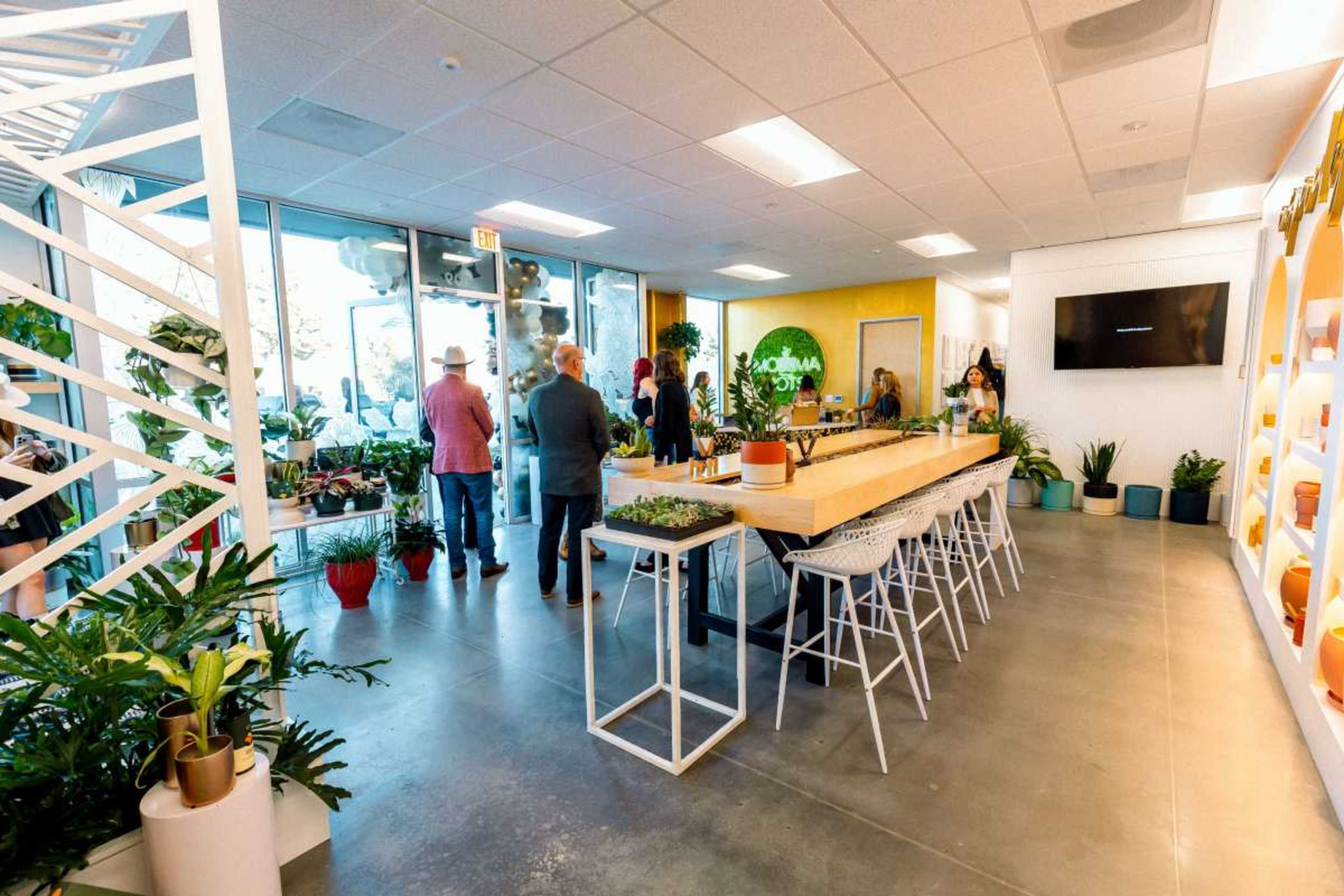 A modern office interior with a long wooden table surrounded by white stools, large windows letting in light, and several plants in colorful pots.