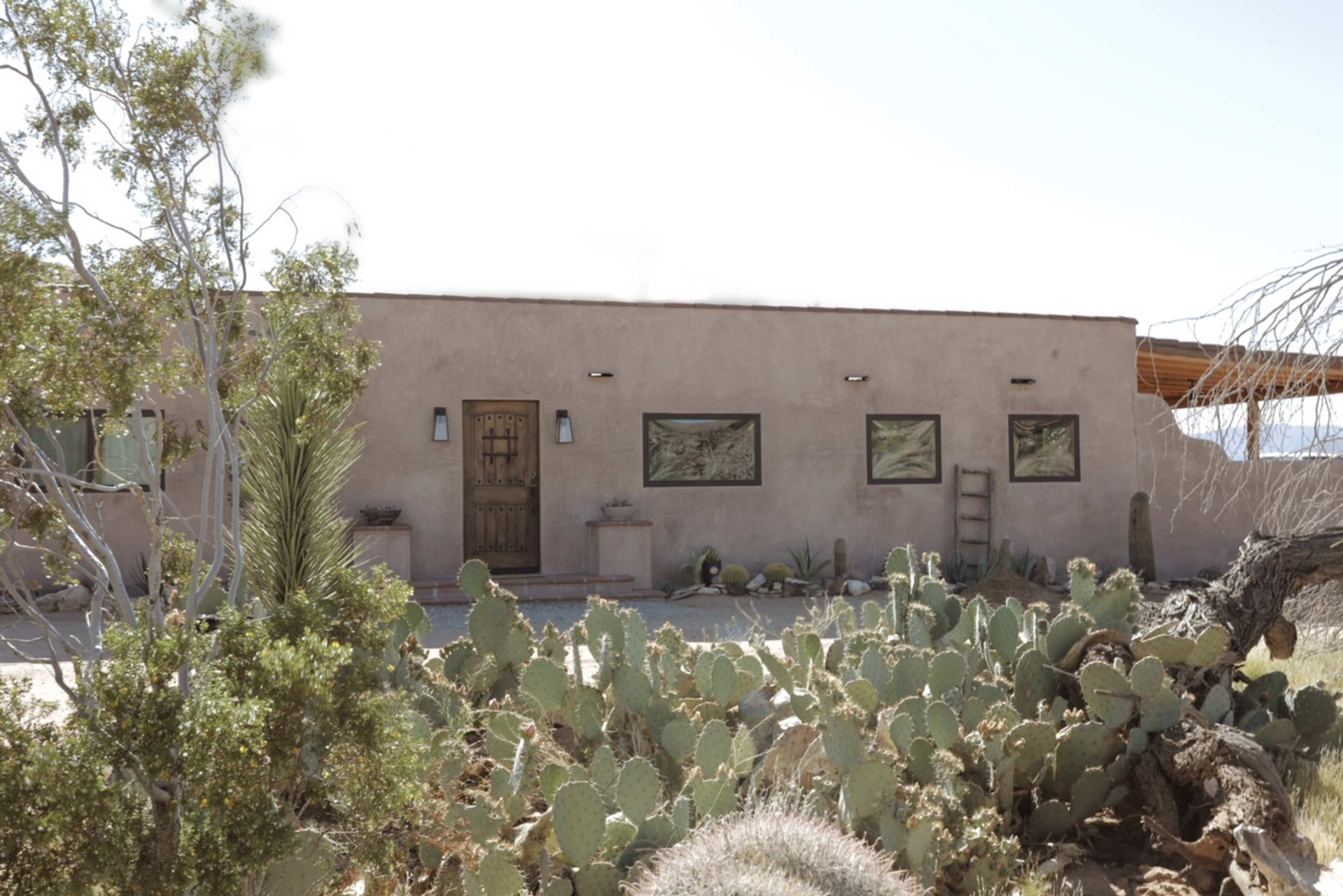 A stucco house with several windows is surrounded by desert vegetation, including cacti and shrubs.