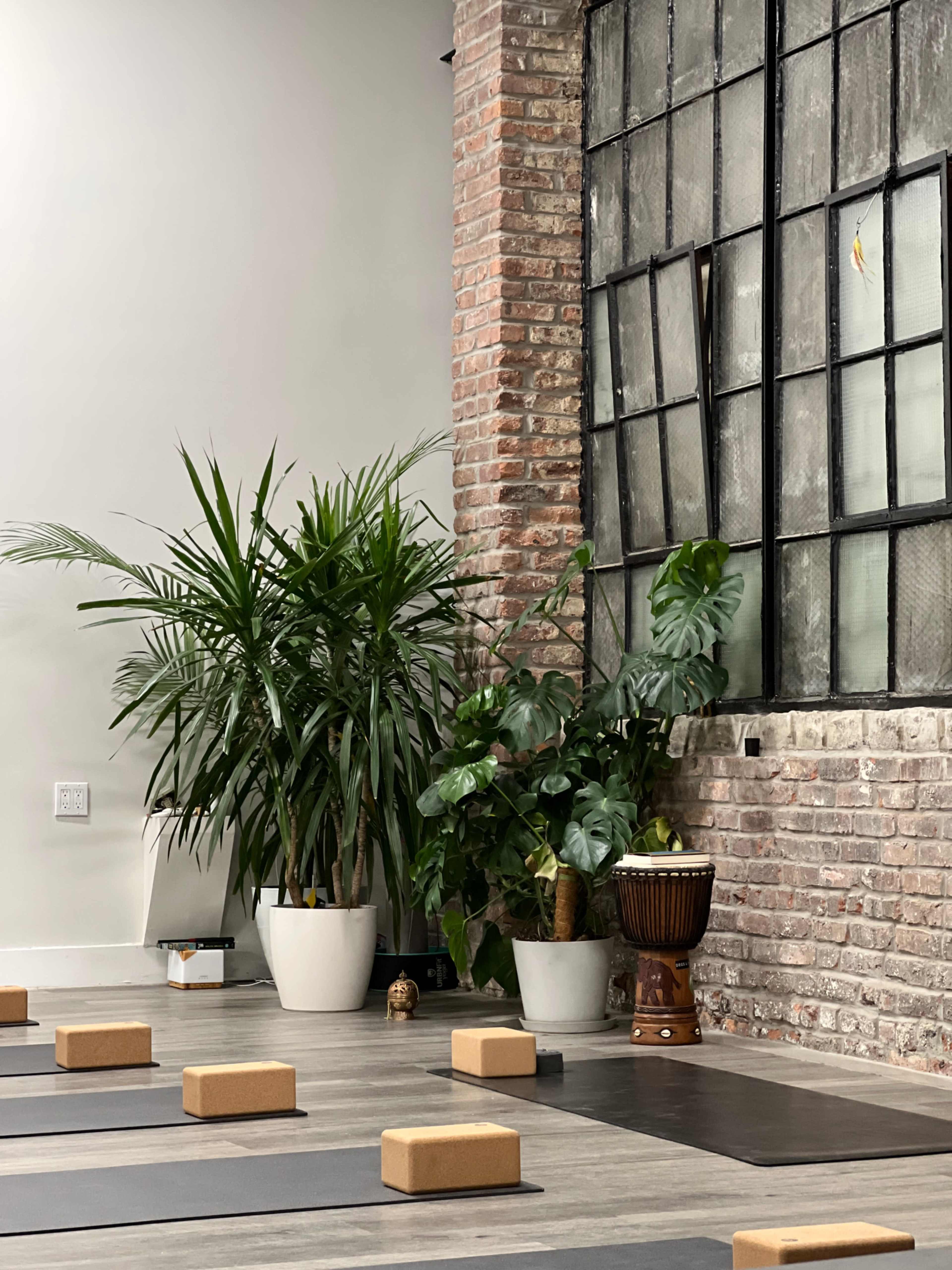 The image shows a yoga studio with wooden blocks arranged on a gray mat, surrounded by potted plants and a large window with a brick wall backdrop.