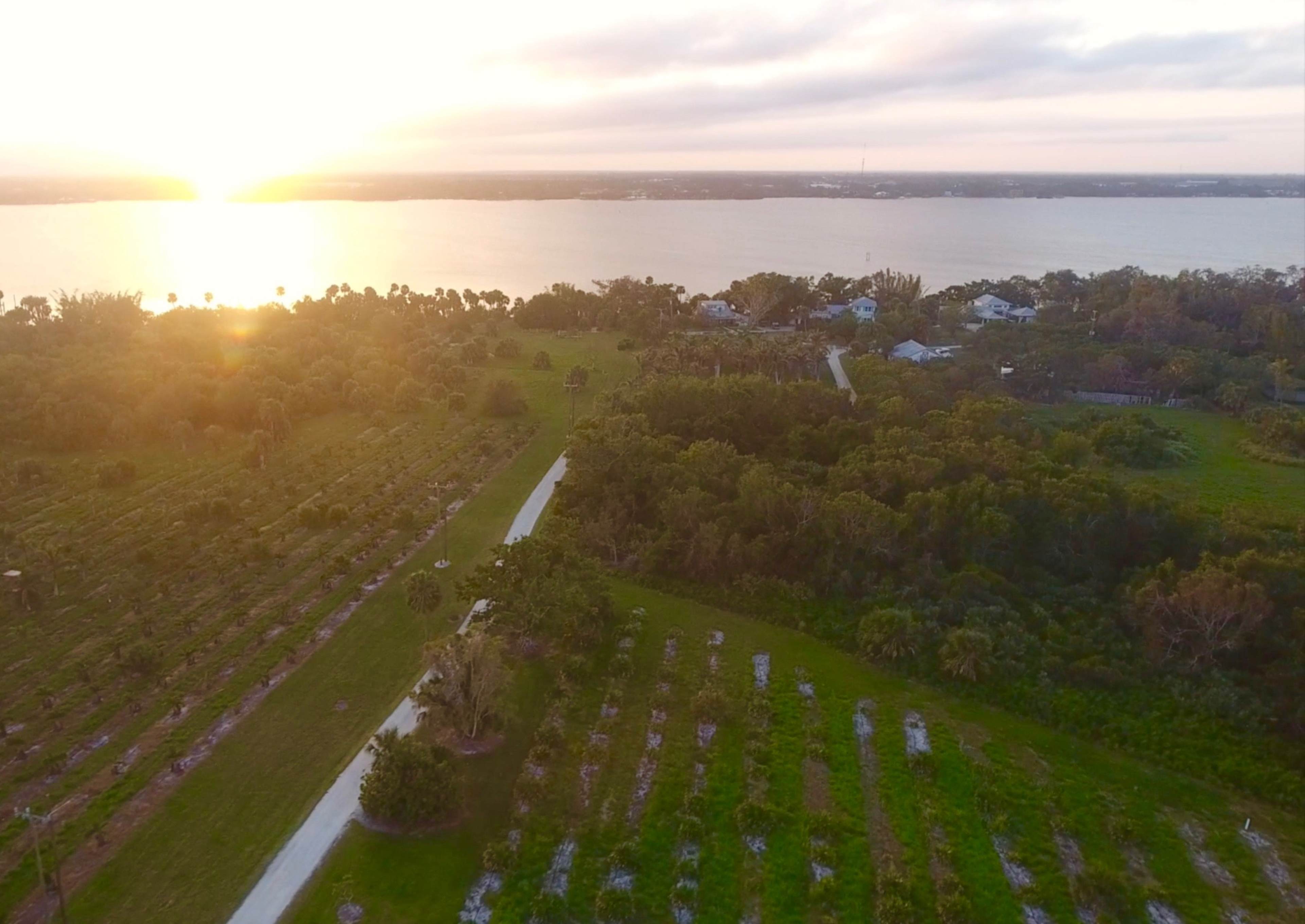 A scenic view of a coastal landscape with trees and a path, illuminated by a sunset over the water.