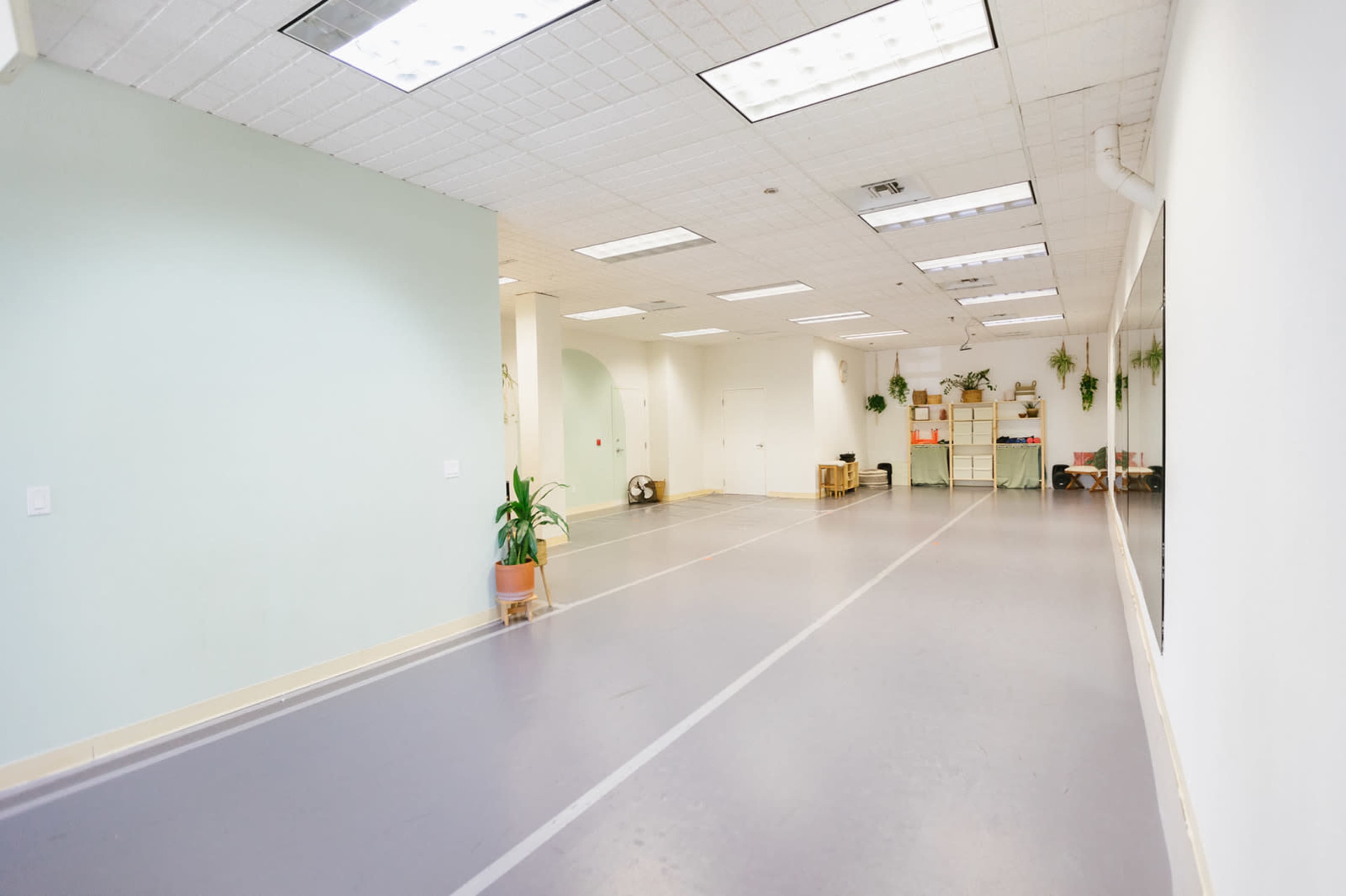 A spacious, empty room with gray flooring and light green walls, featuring several plants and mirrors along one side.
