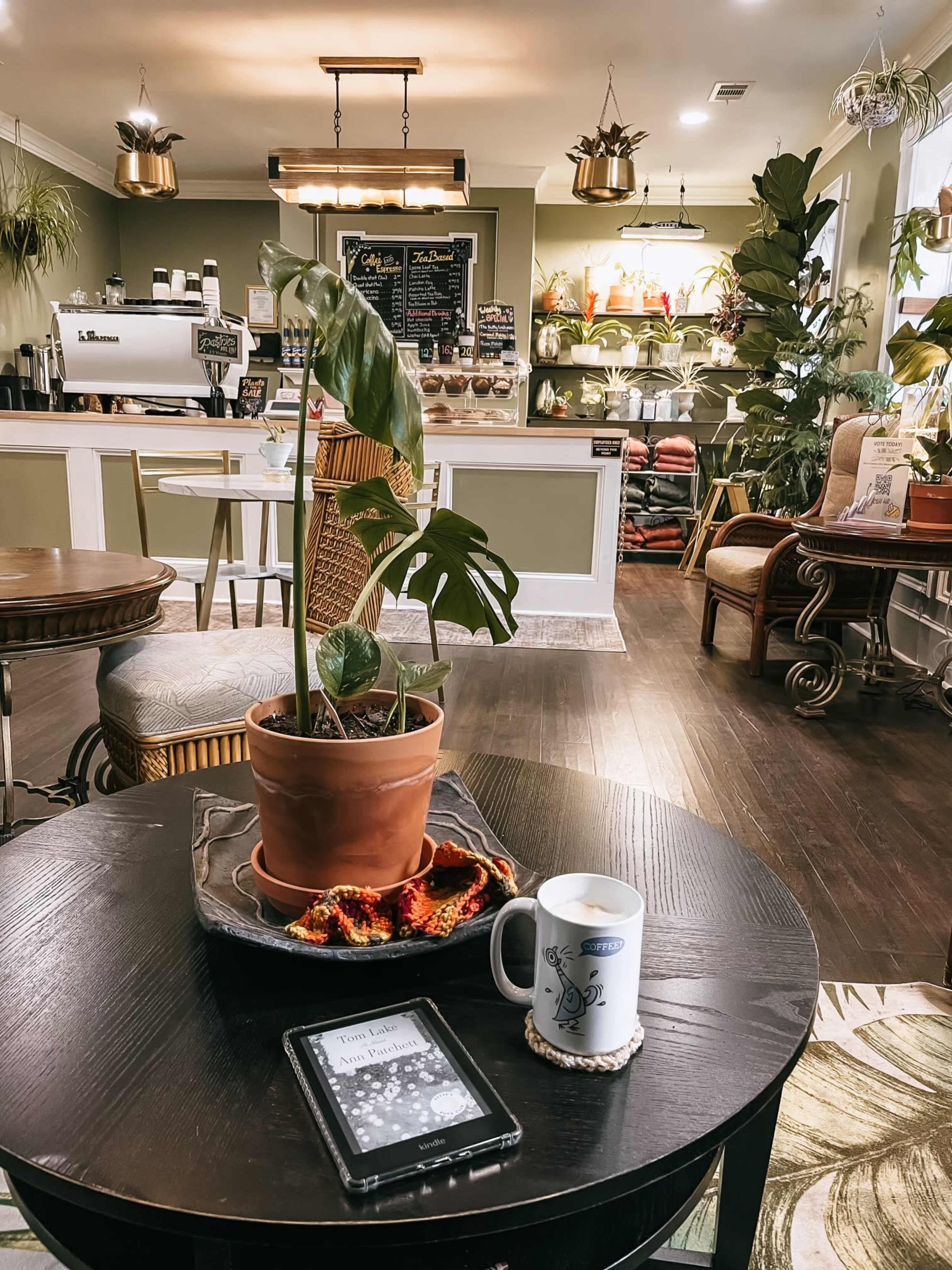 Step into history -Downtown coffee shop quiet street Image in Leesburg, Leesburg, VA
