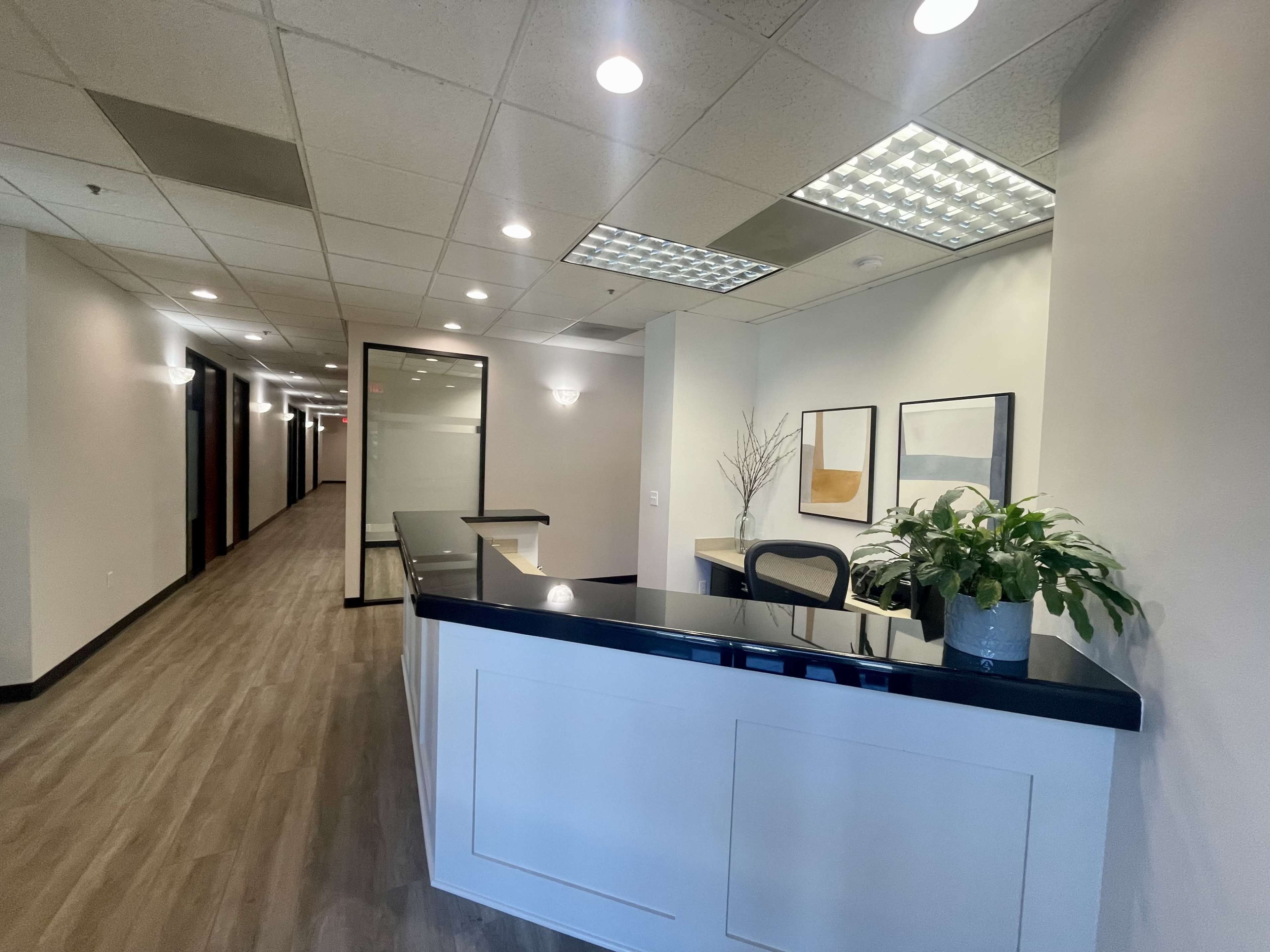 A modern office reception area with a black counter and a plant, leading to a well-lit corridor.