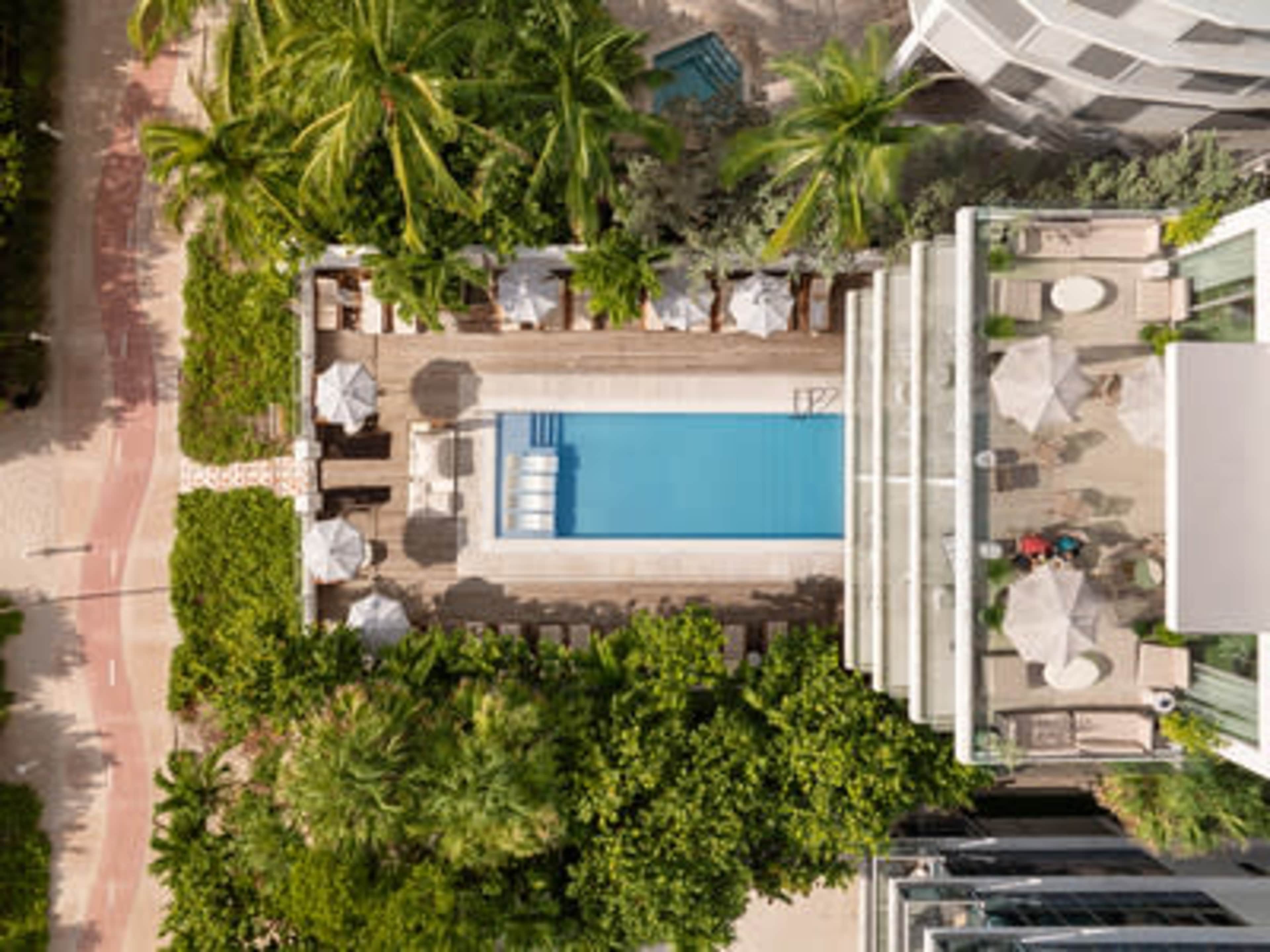 The image shows an aerial view of a hotel pool surrounded by sun loungers, umbrellas, and palm trees.