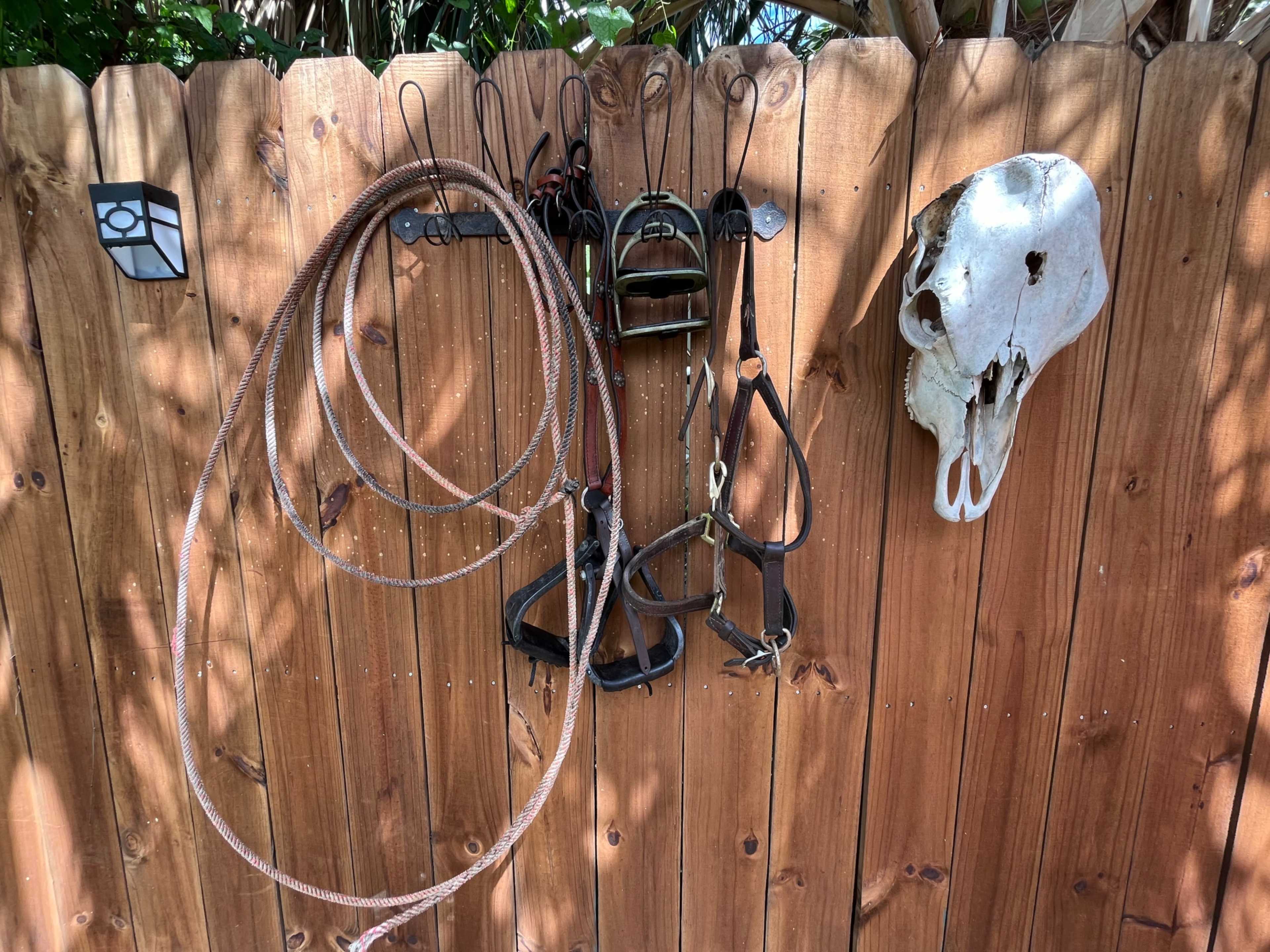 Pearl District Texas Theme w/Cowboy Pool & Ice Plung Image in Tobin Hill, San Antonio, TX