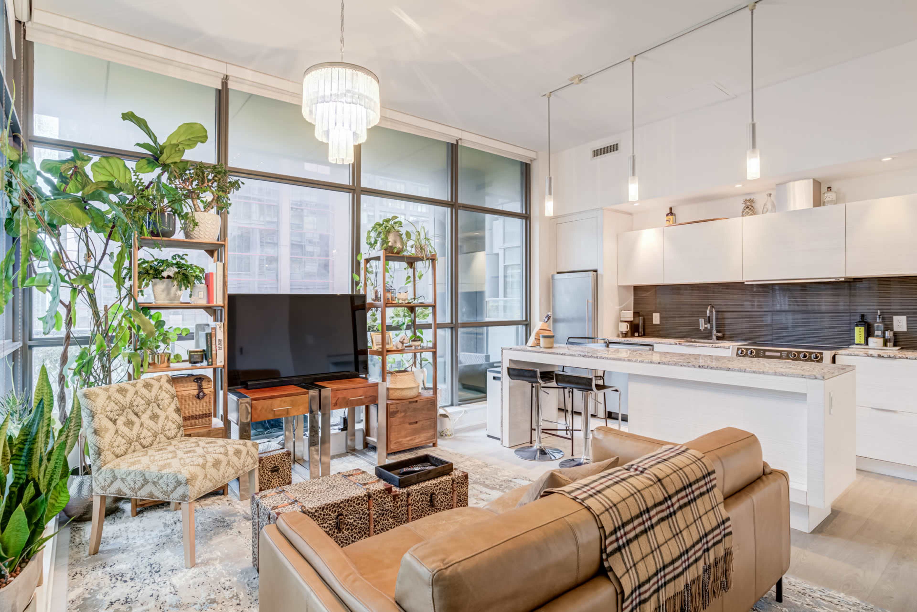 The image shows a modern living space with a kitchen area, a television, plants, and comfortable furniture.
