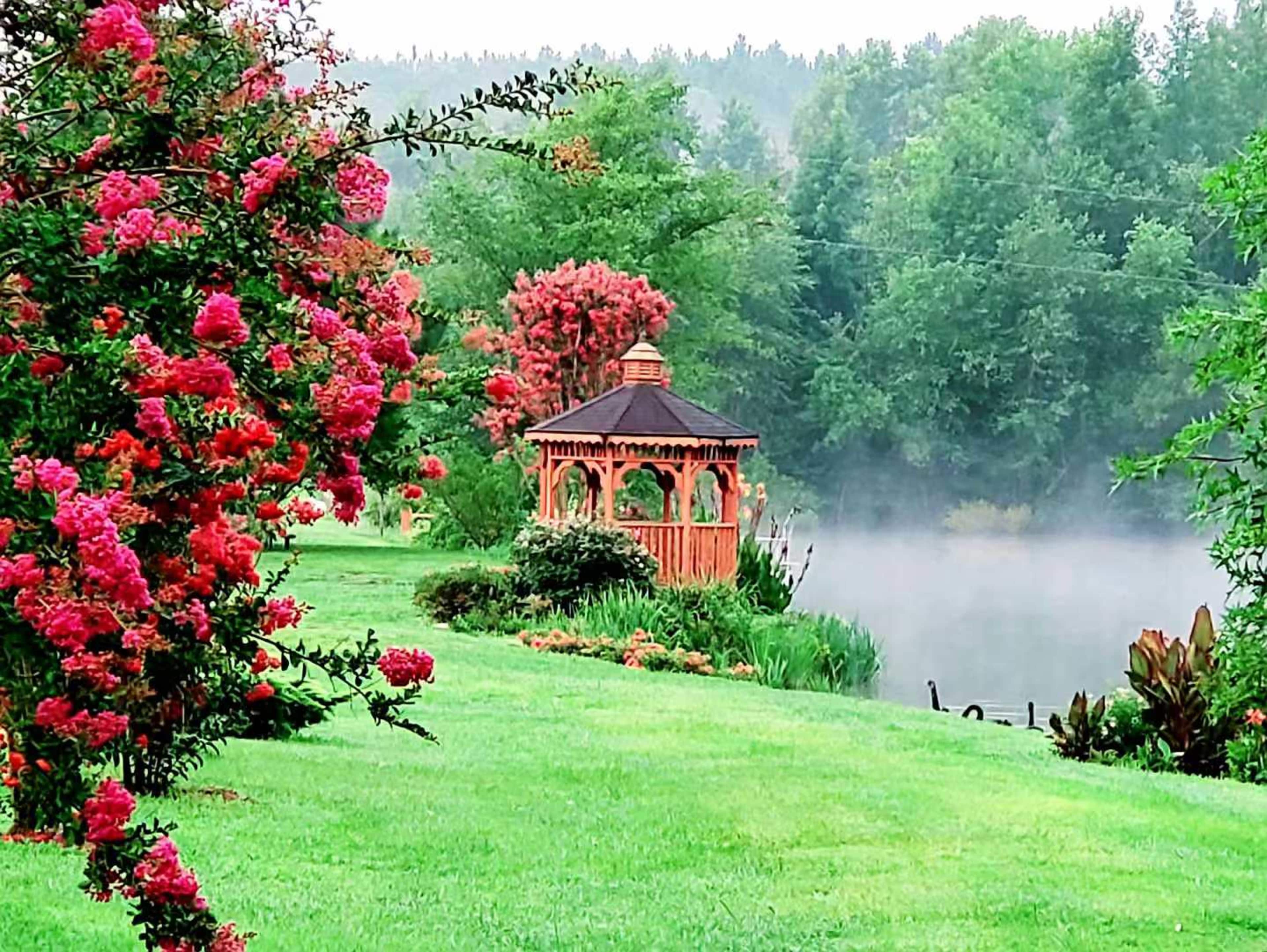 A wooden gazebo stands by a misty lake, surrounded by vibrant flowering shrubs and lush greenery.