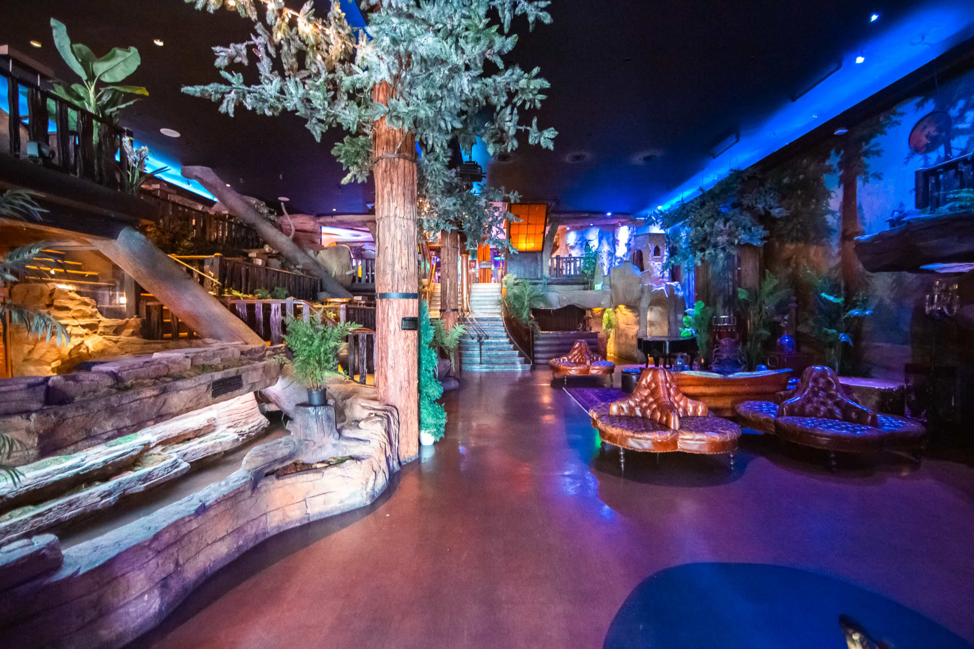 The image shows a spacious, dimly lit venue with large trees and greenery, featuring various seating areas and a staircase leading to an upper level.