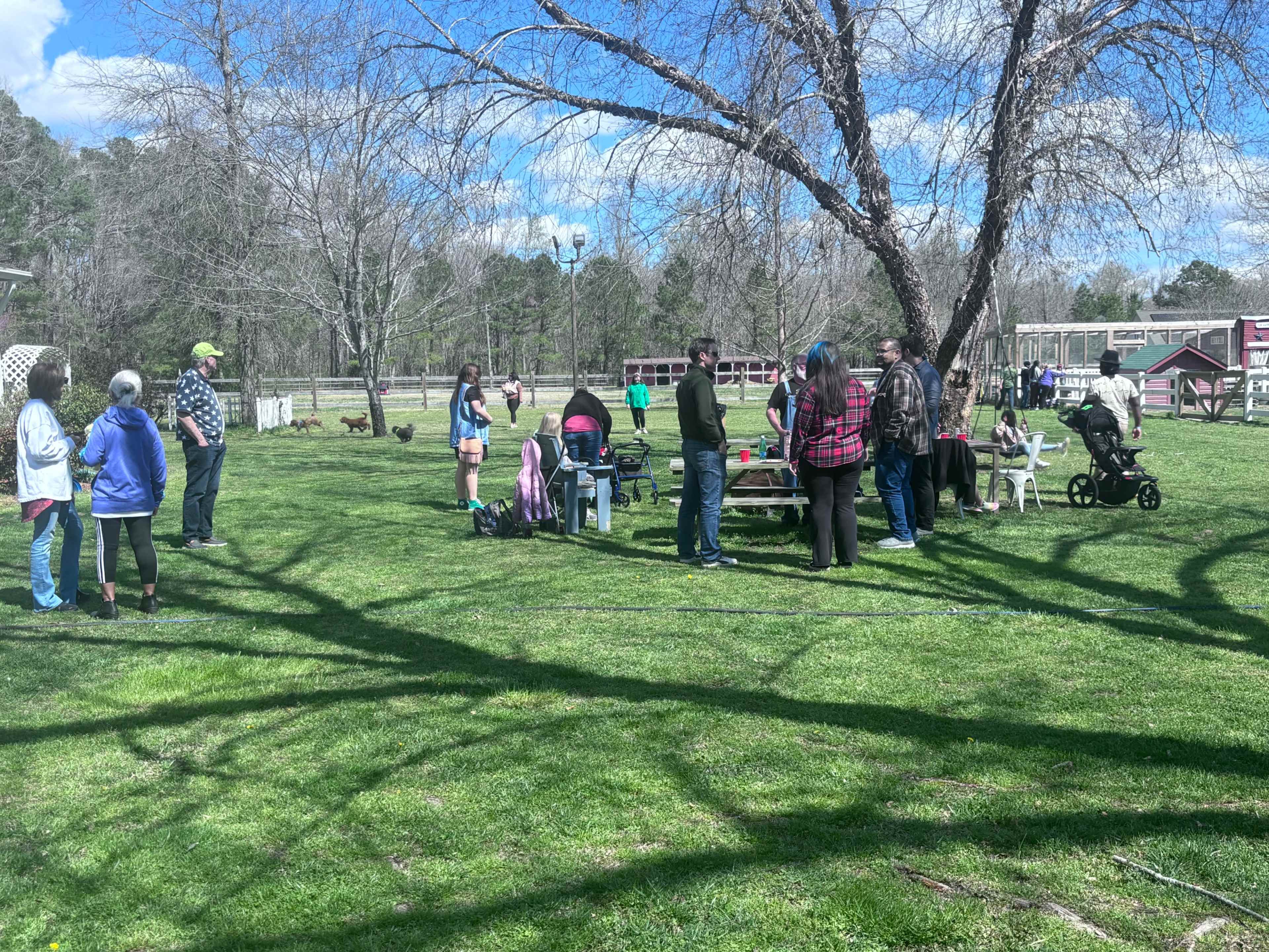 A group of people gathers around picnic tables under a bare tree in a grassy area.