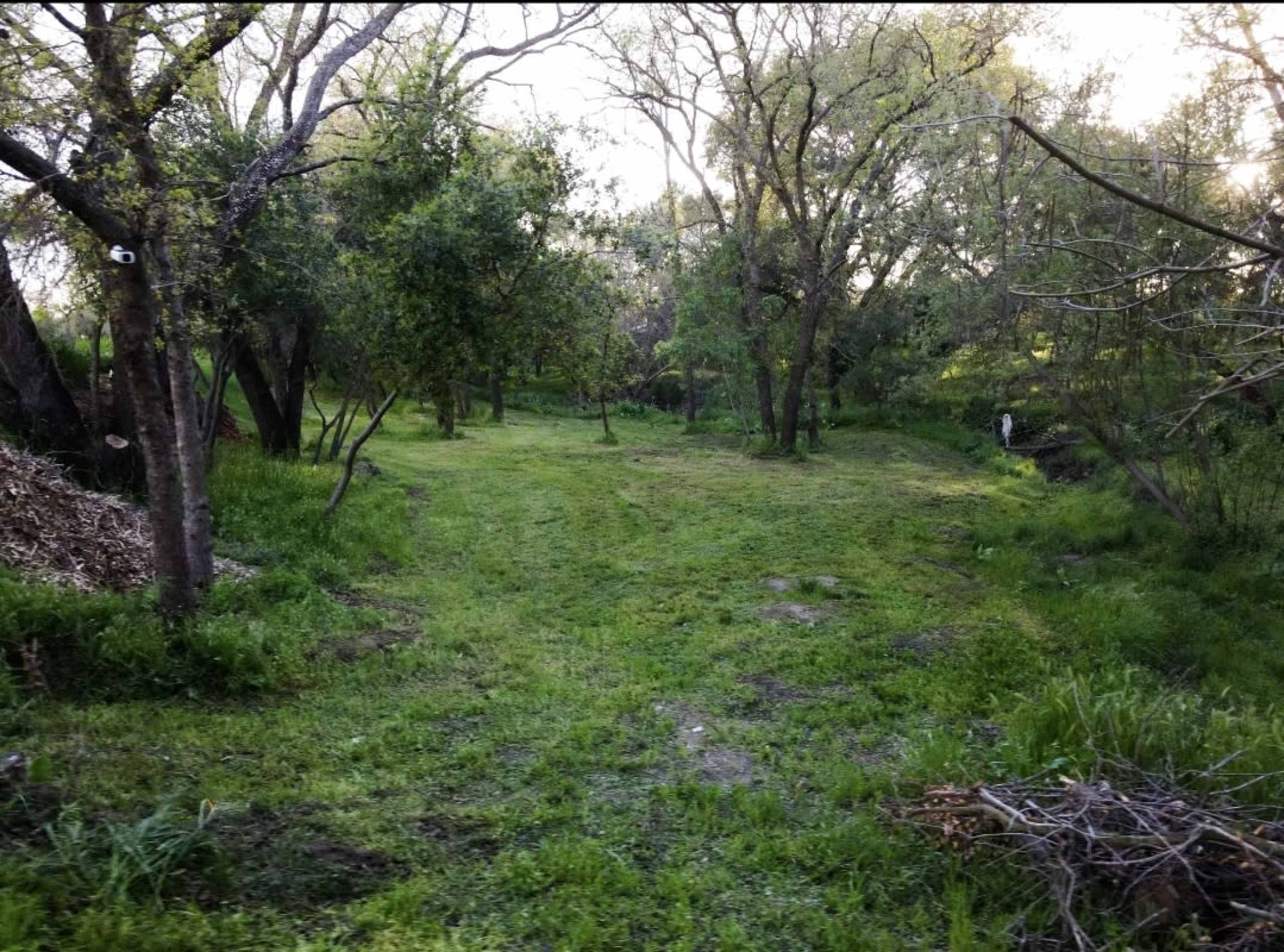 Private Park in the middle of the City Image in Citrus Heights, Citrus Heights, CA