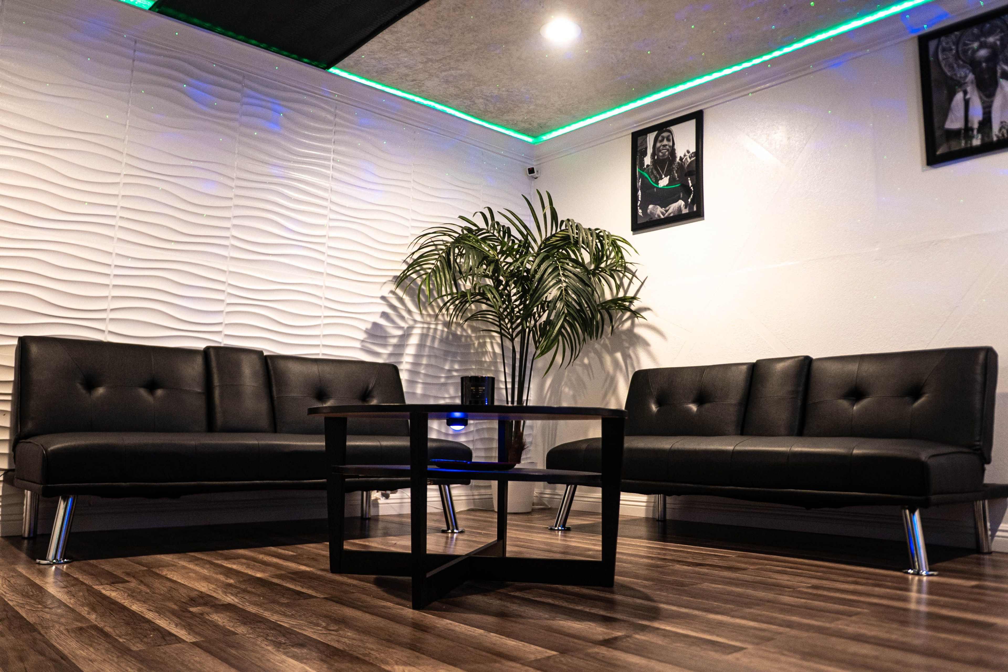 The image shows a modern interior space featuring two black leather sofas, a small black coffee table, a potted plant, and wall decorations.