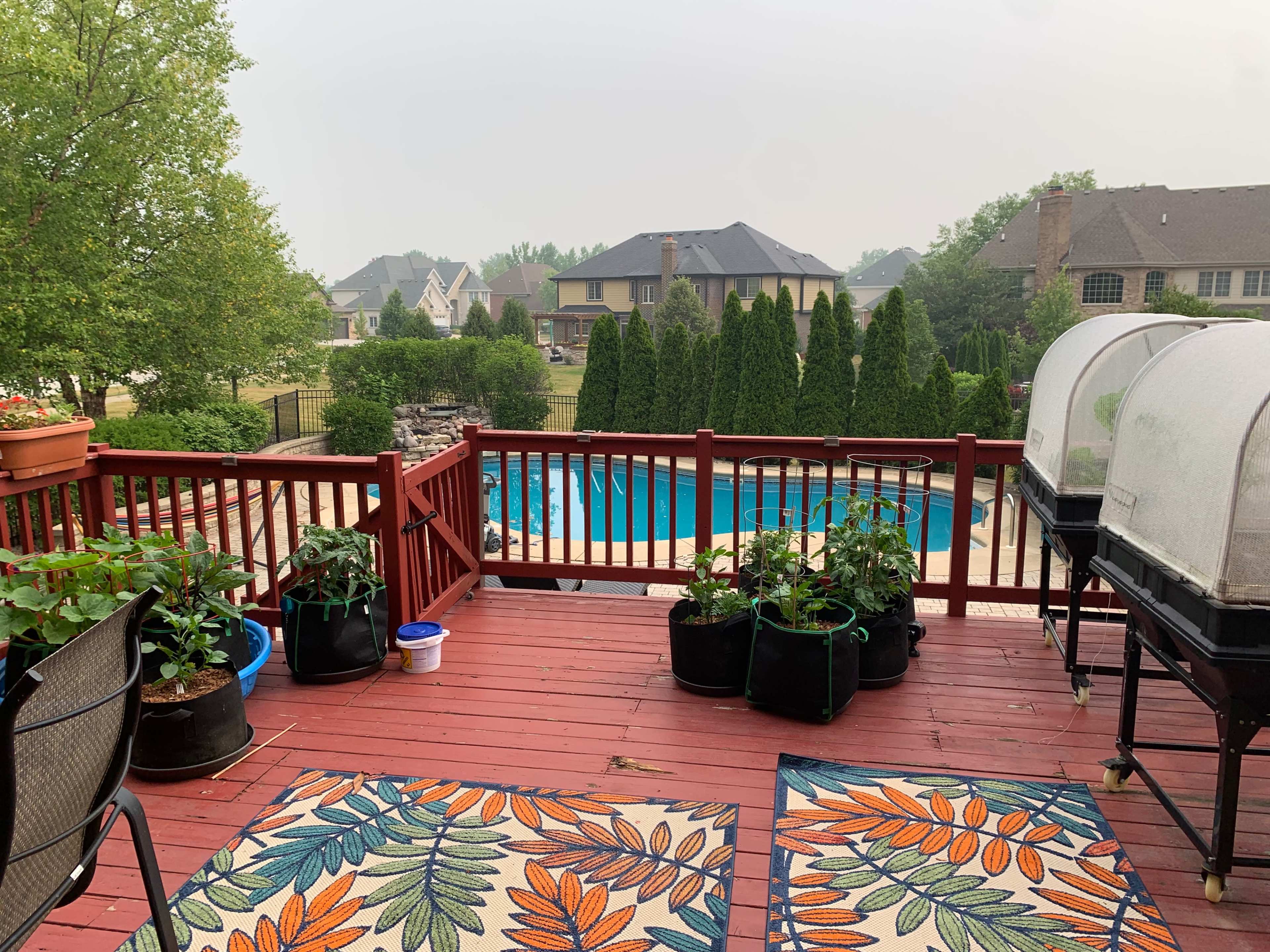 A wooden deck features potted plants in black containers and two area rugs, overlooking a pool surrounded by greenery and houses in the background.