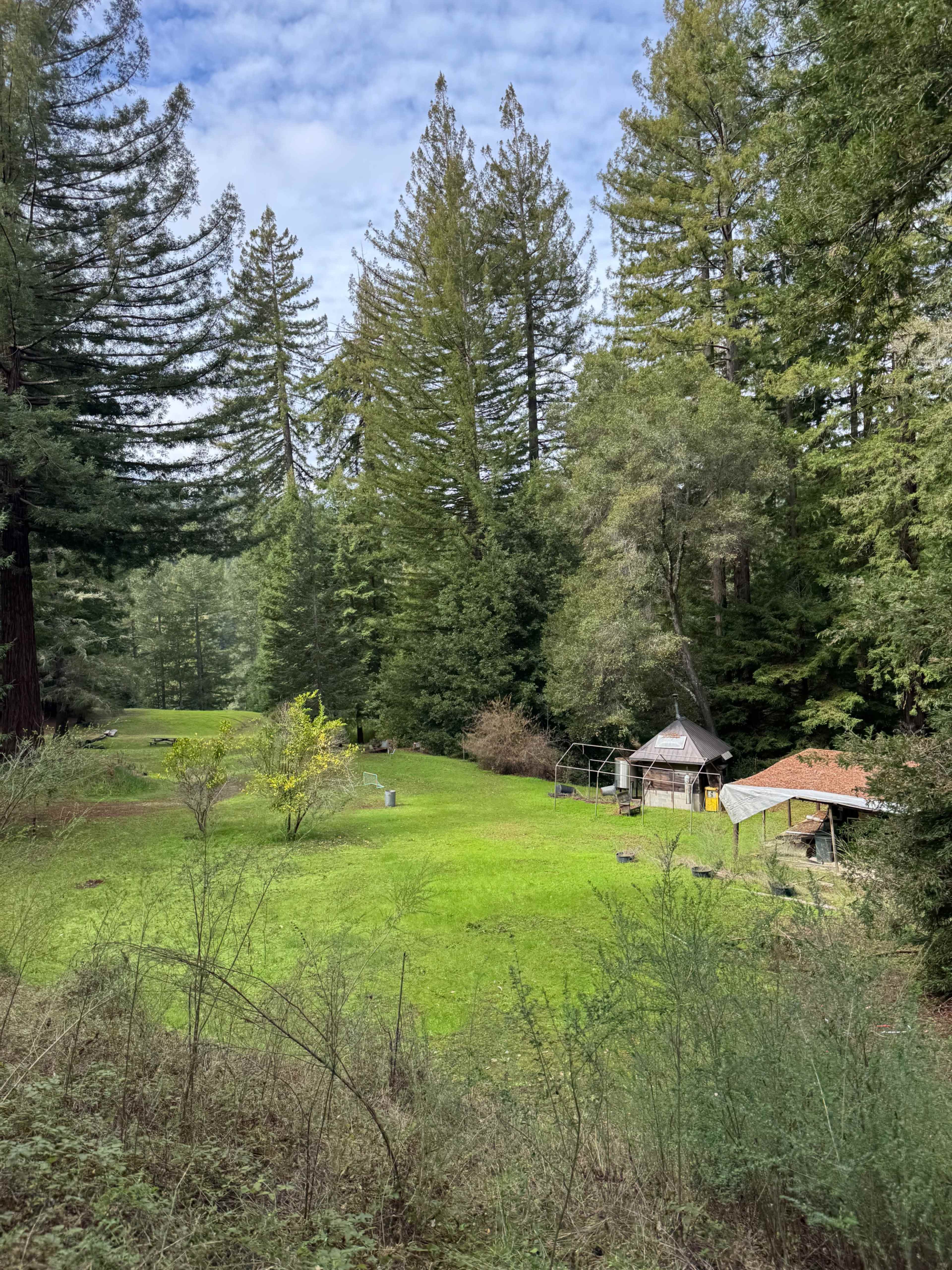 Beautiful Redwood Forest and Meadows, ~15 acres in Santa Cruz mountains Image in , Los Gatos, CA