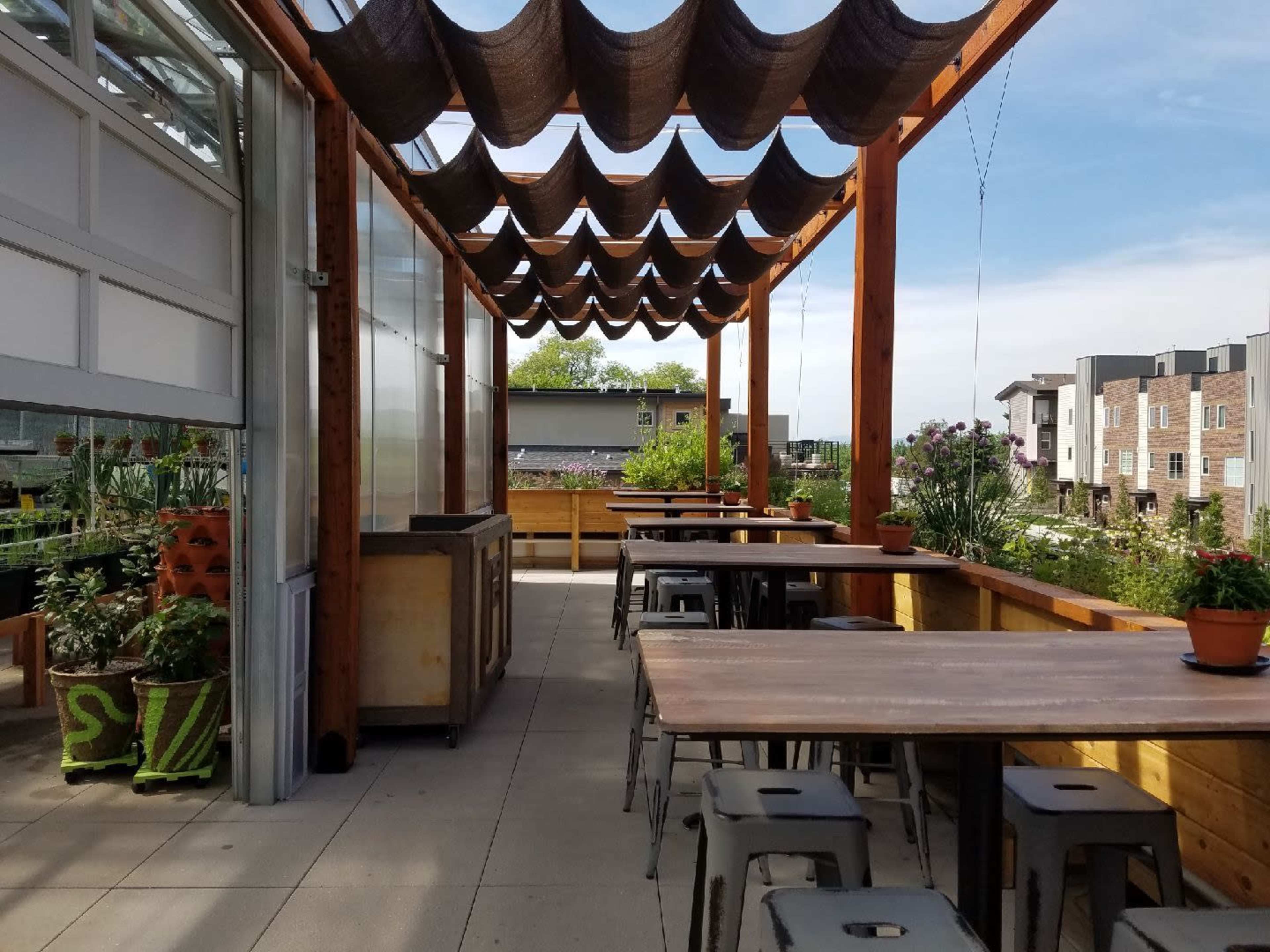 The image shows an outdoor dining area with wooden tables and seating under a canopy of fabric, surrounded by potted plants and modern apartment buildings in the background.