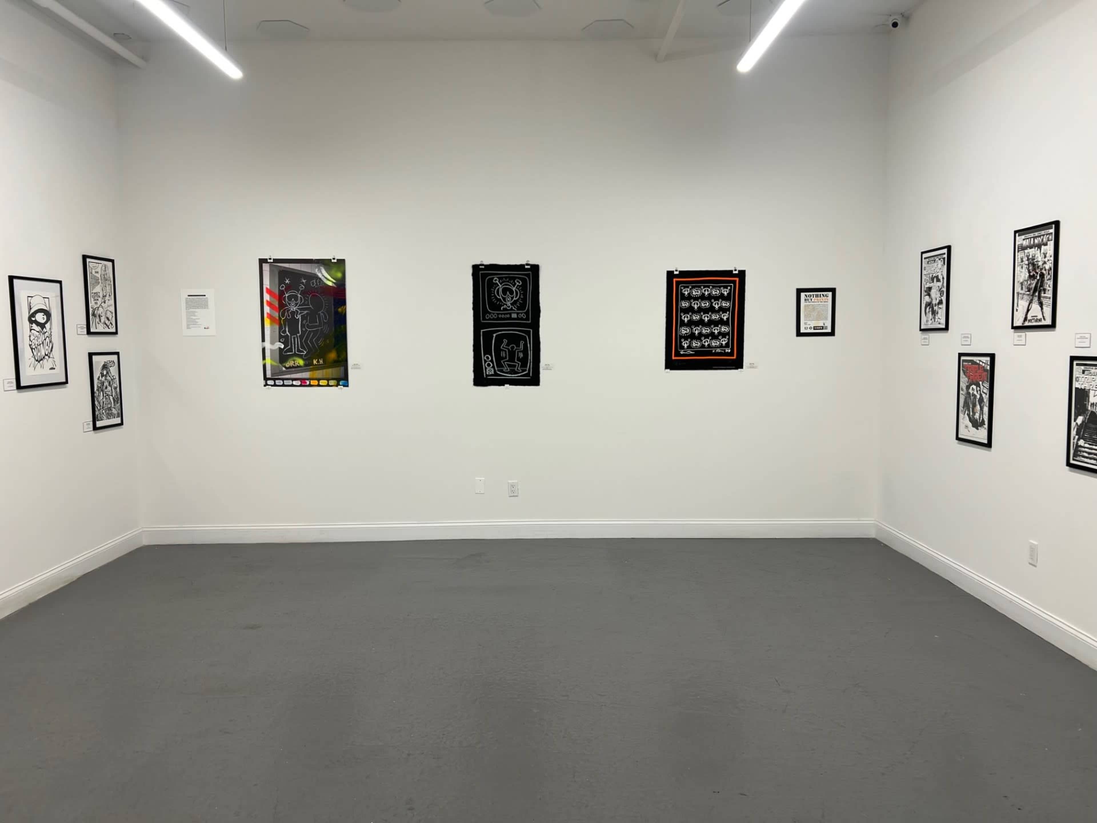 Bronx Gallery Space for Art Installations and Creative Events! Image in Mott Haven, Bronx, NY