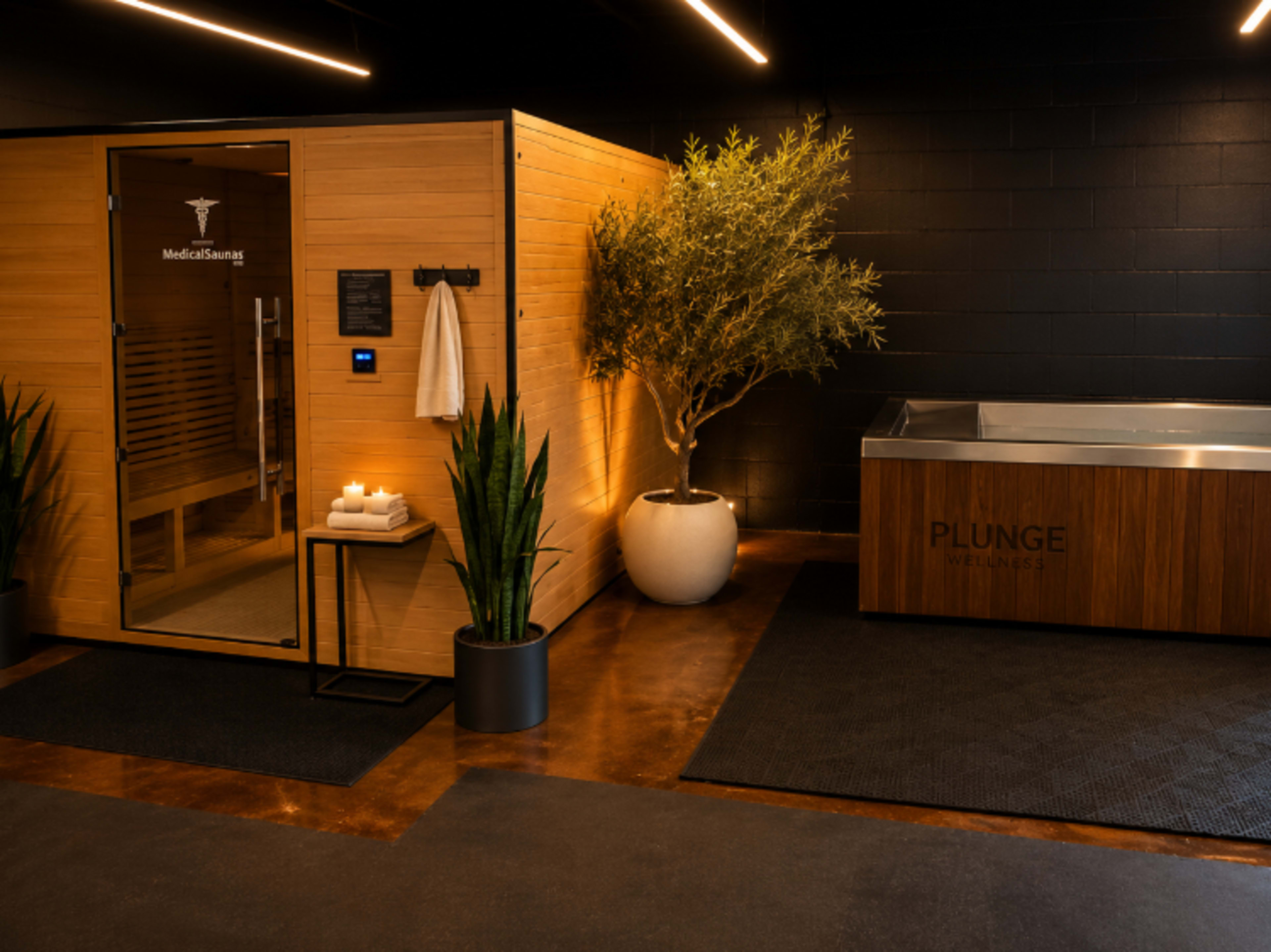 Sauna + Cold Plunge Wellness Studio