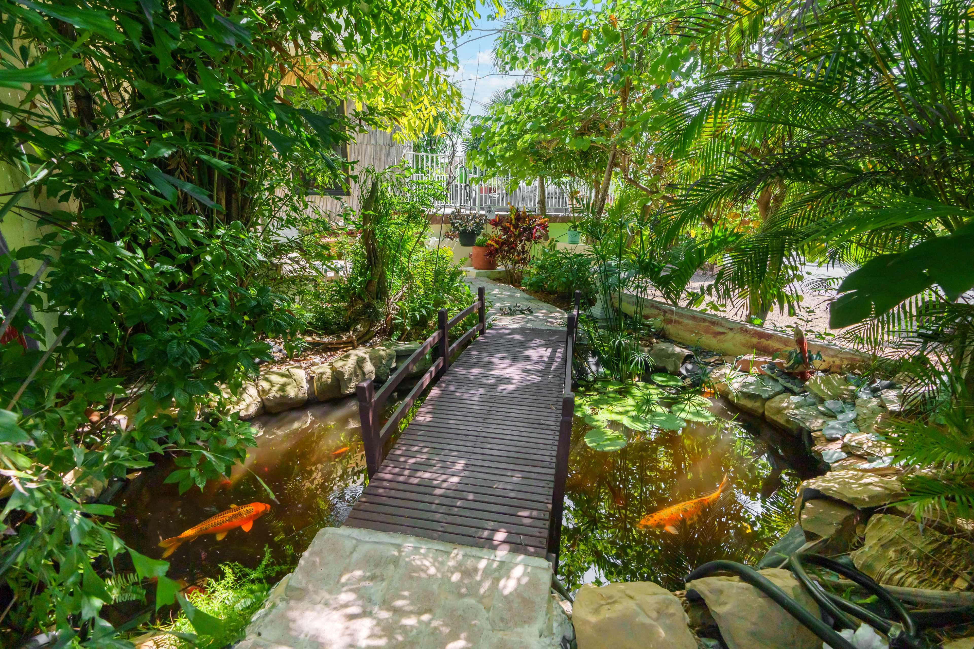 A wooden bridge crosses over a pond filled with koi fish, surrounded by lush greenery and tropical plants.