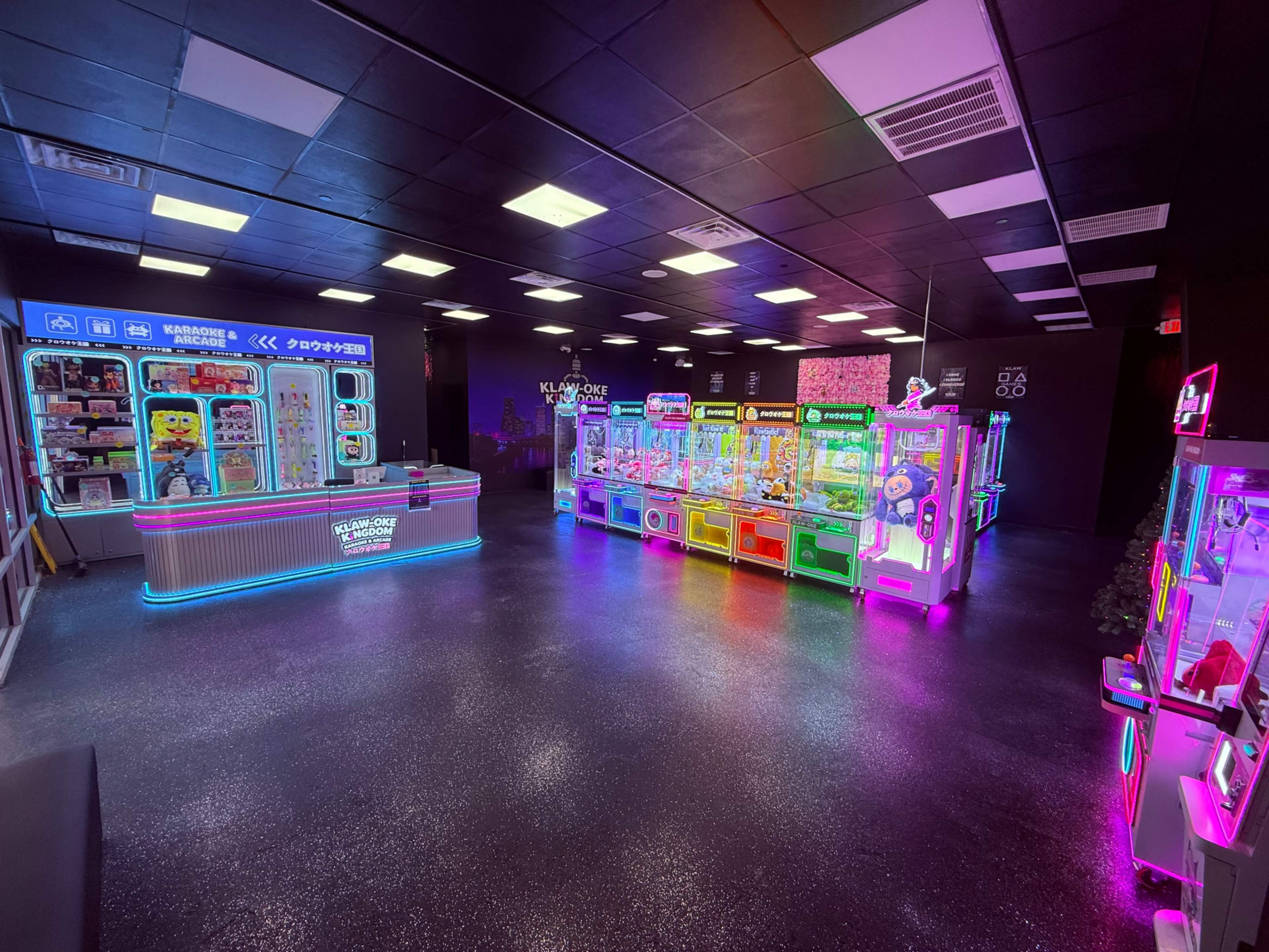 Themed private room for karaoke or events Image in Pearland, Pearland, TX