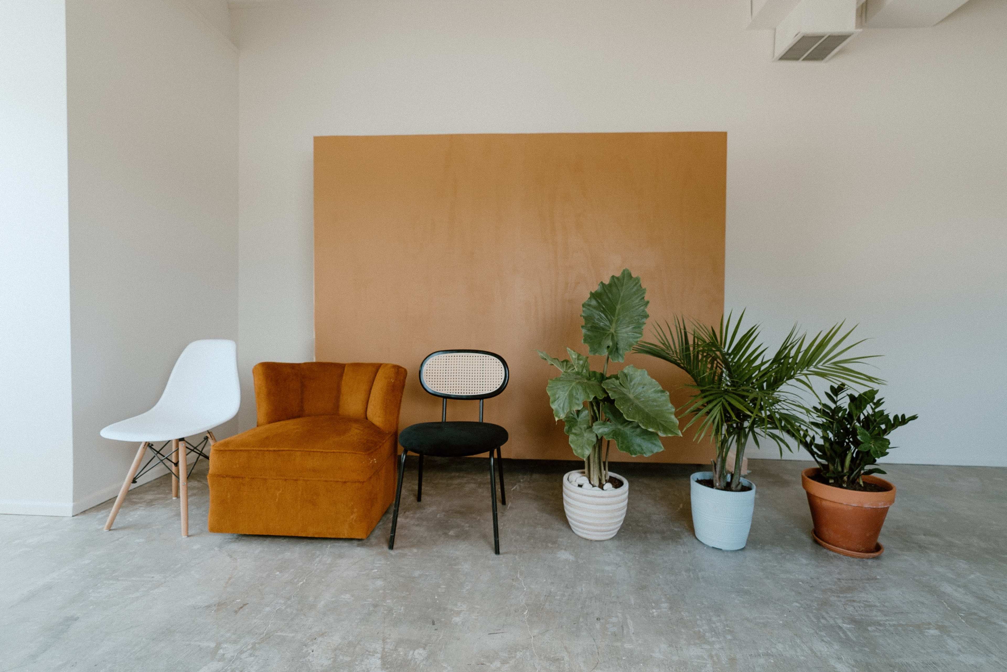 The image features a minimalist interior scene with two chairs, a mustard-colored armchair, and four potted plants arranged against a large, plain brown backdrop.