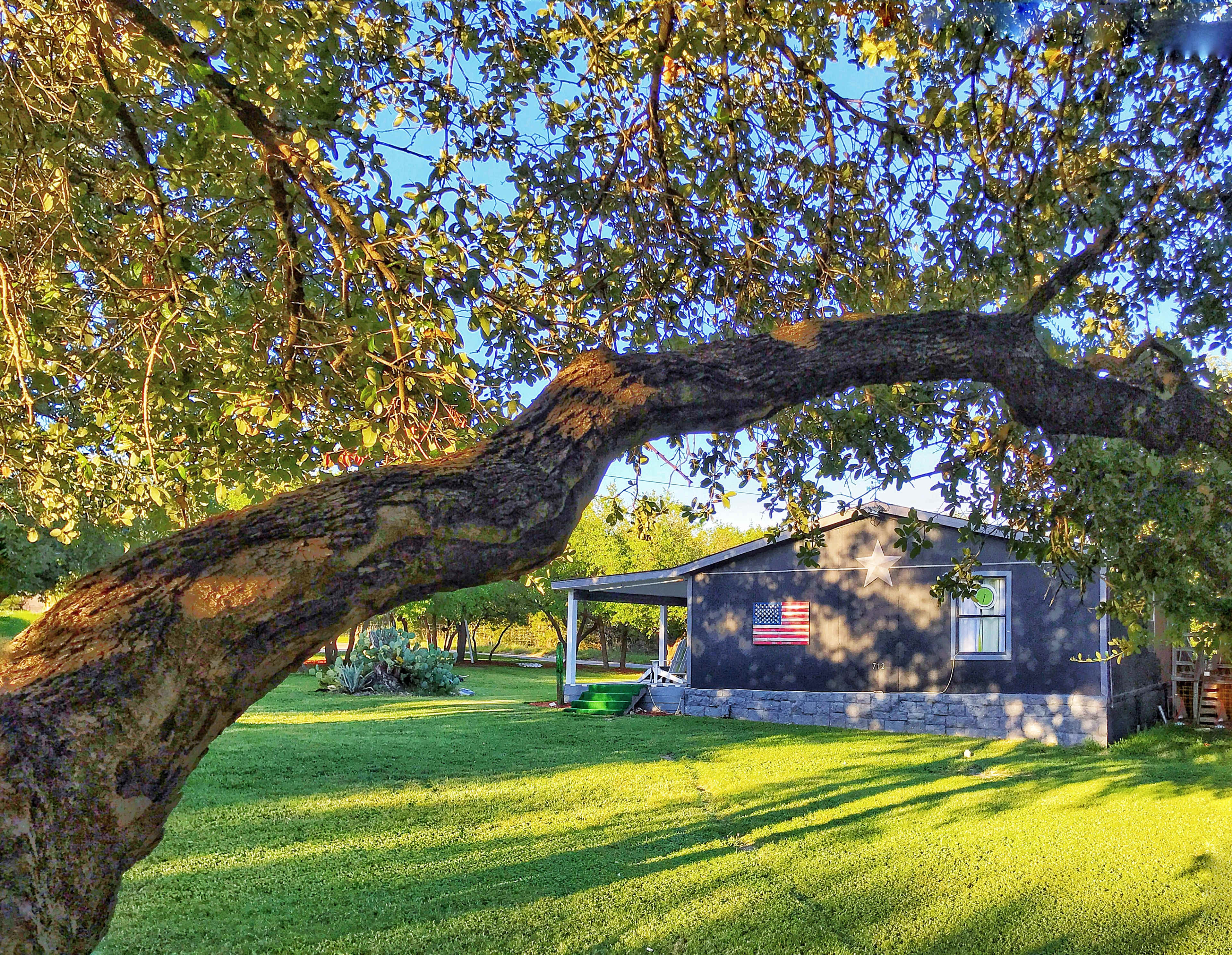 A house with an American flag displayed on its side sits in a grassy yard, framed by an arching tree branch.