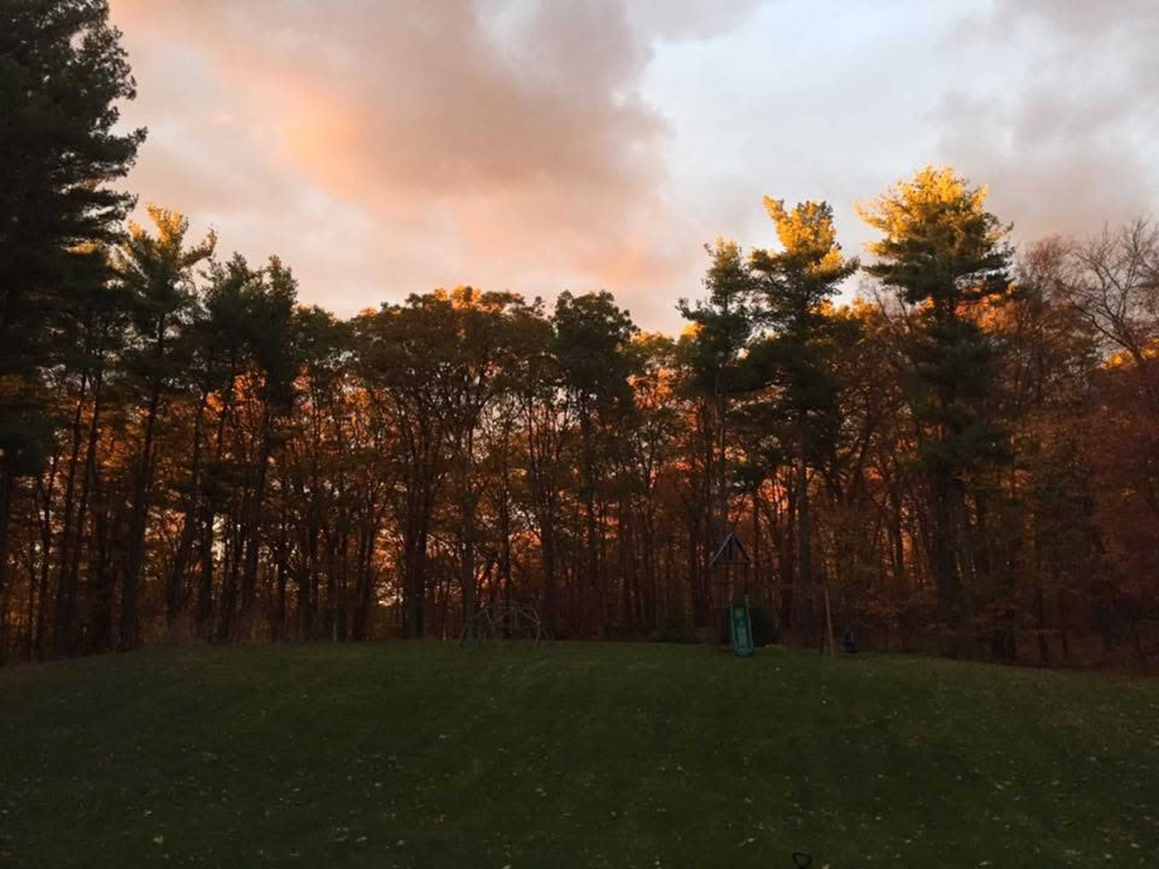 The image shows a grassy area leading up to a forest with trees displaying autumn colors under a partly cloudy sky.