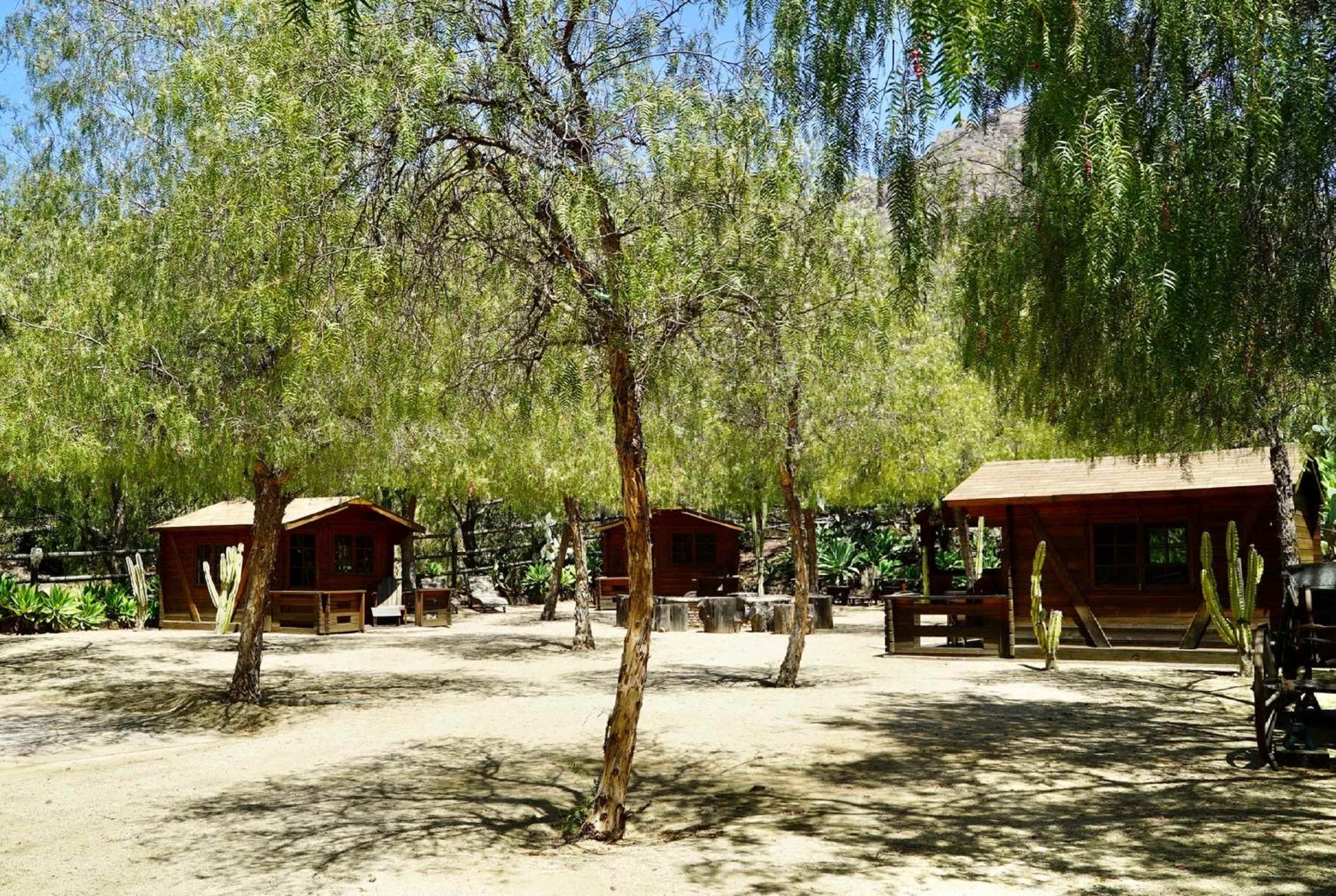 The scene shows several wooden cabins surrounded by trees and a sandy area, creating a rustic, natural environment.