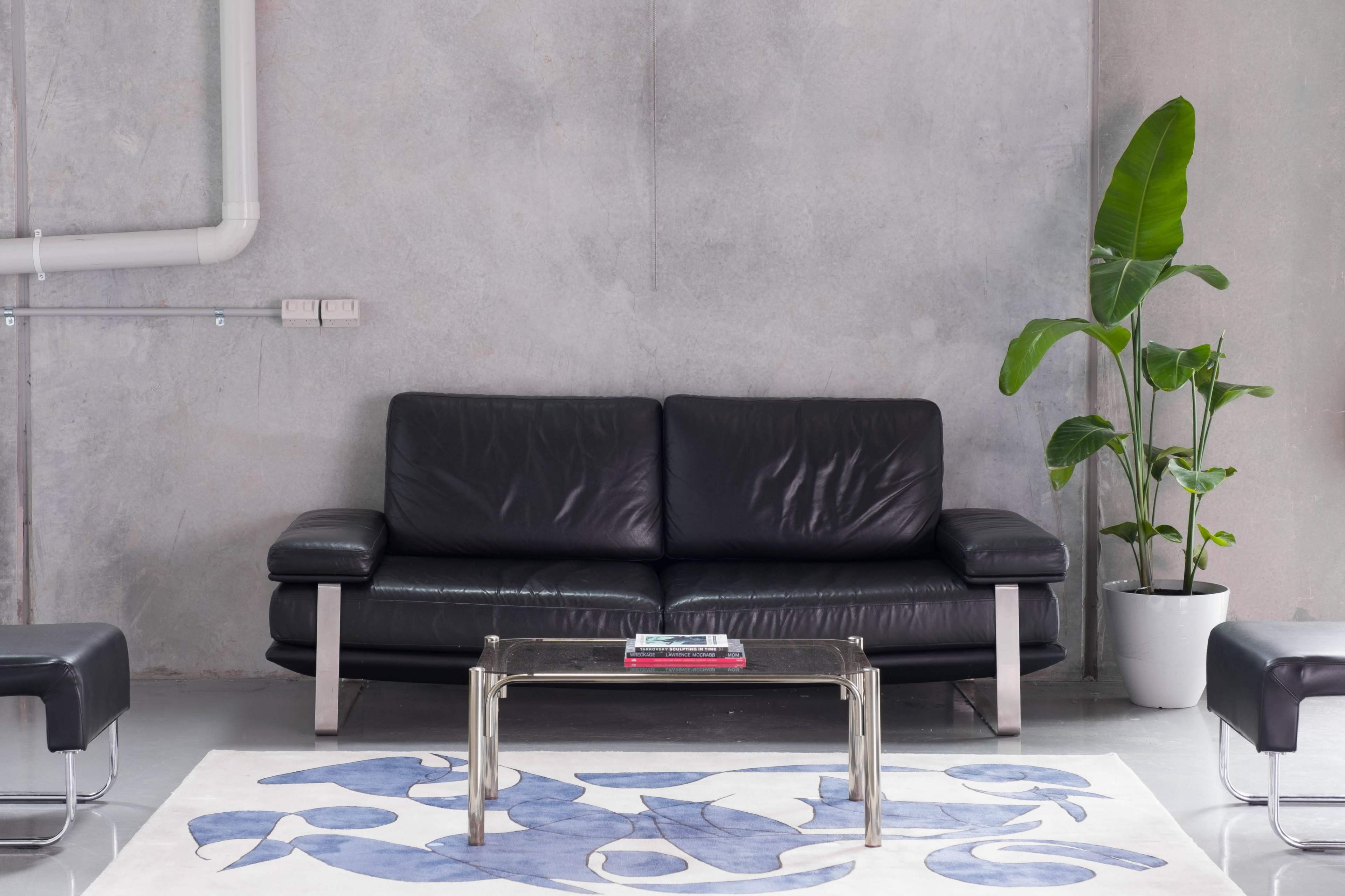 A black leather sofa is positioned against a gray concrete wall, with a glass coffee table and a decorative plant nearby on a patterned rug.