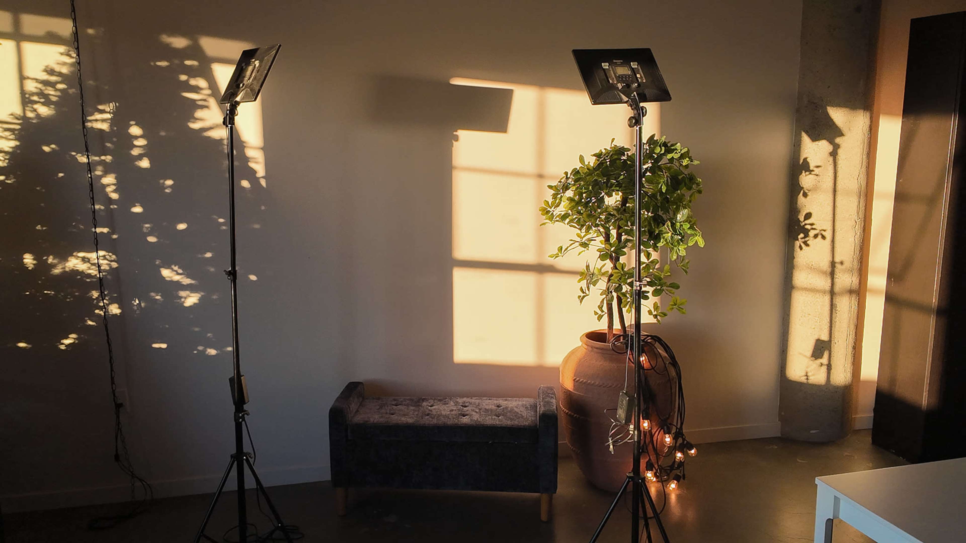The scene features two stand-mounted lights casting shadows and a plant beside a brown pot, with a small gray bench and a wall creating a cozy atmosphere.