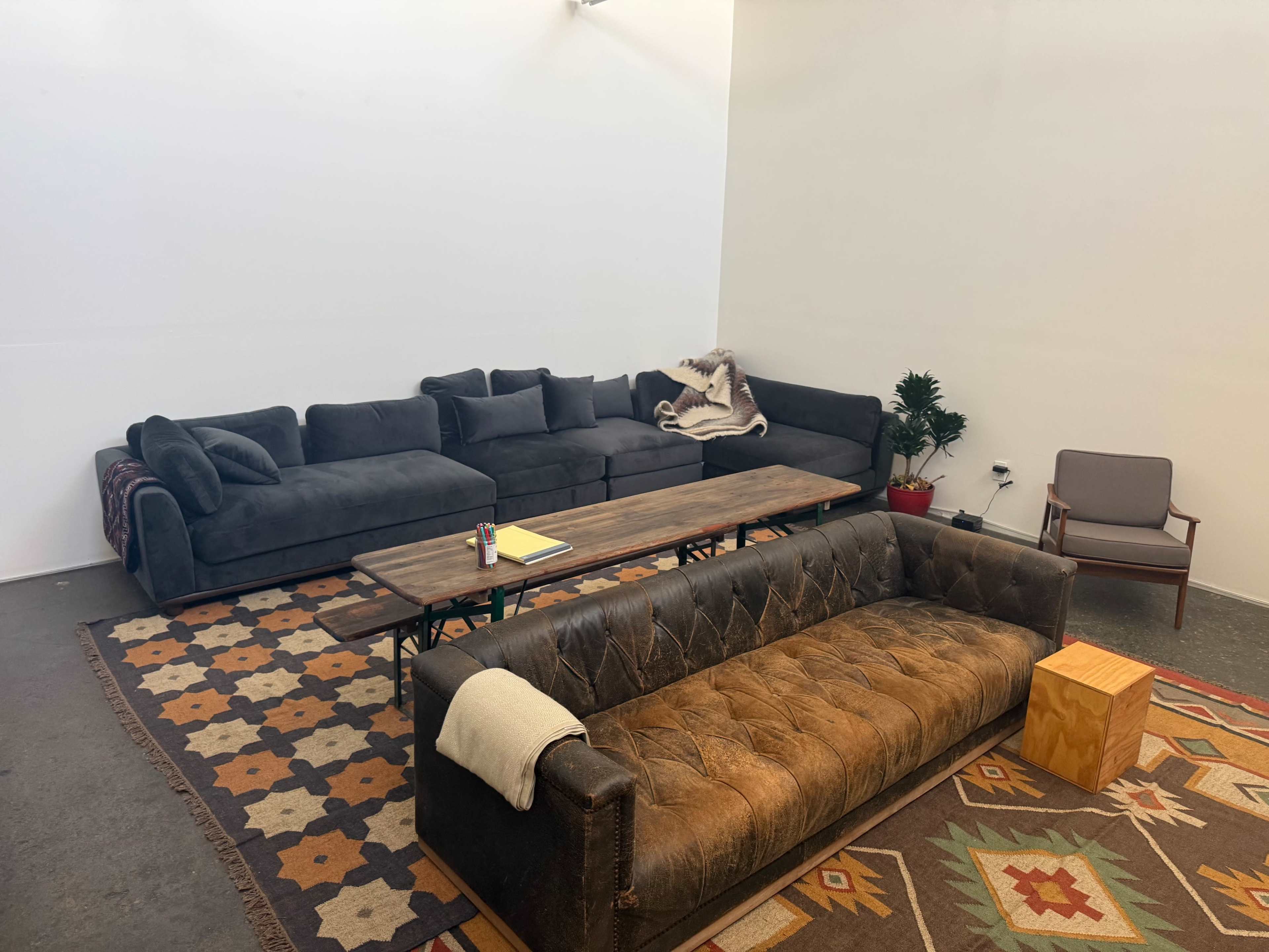 The image shows a spacious seating area with two distinct sofas, a wooden coffee table, a patterned rug, and a potted plant.