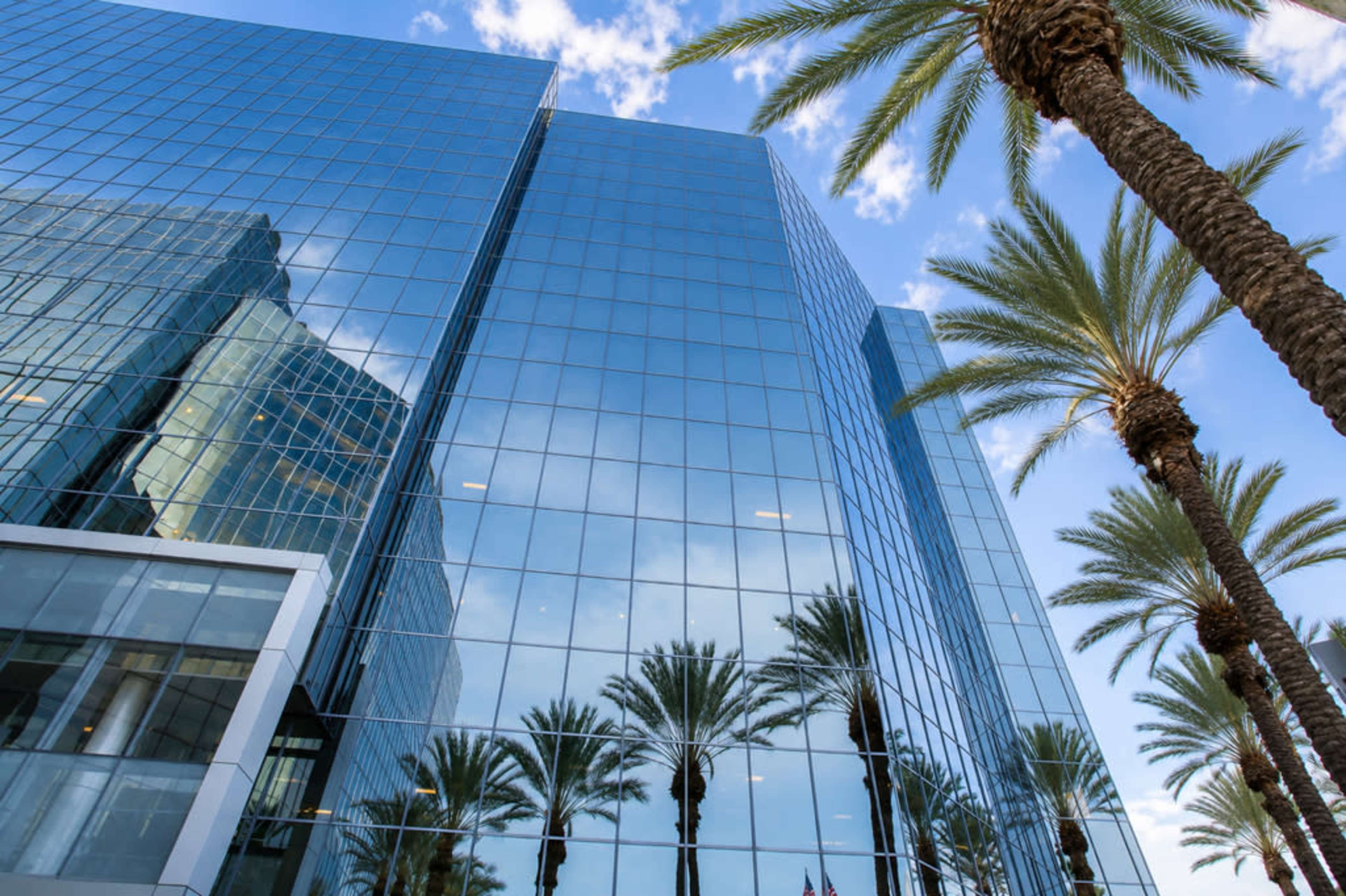 The image shows a modern glass building reflecting palm trees under a clear blue sky.