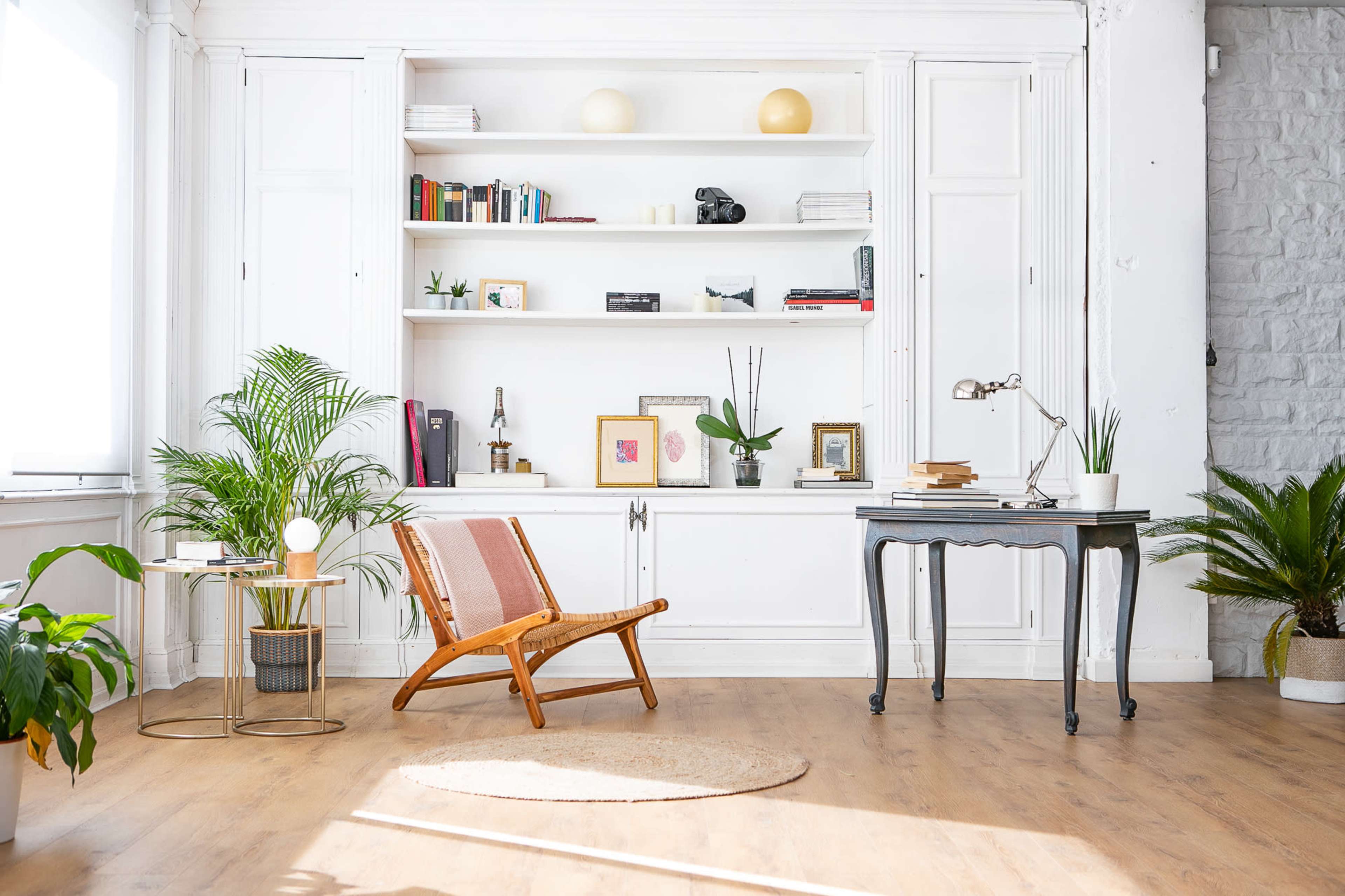 A cozy living room features a wooden chair, a table, and shelves filled with books and decorative items, surrounded by houseplants.