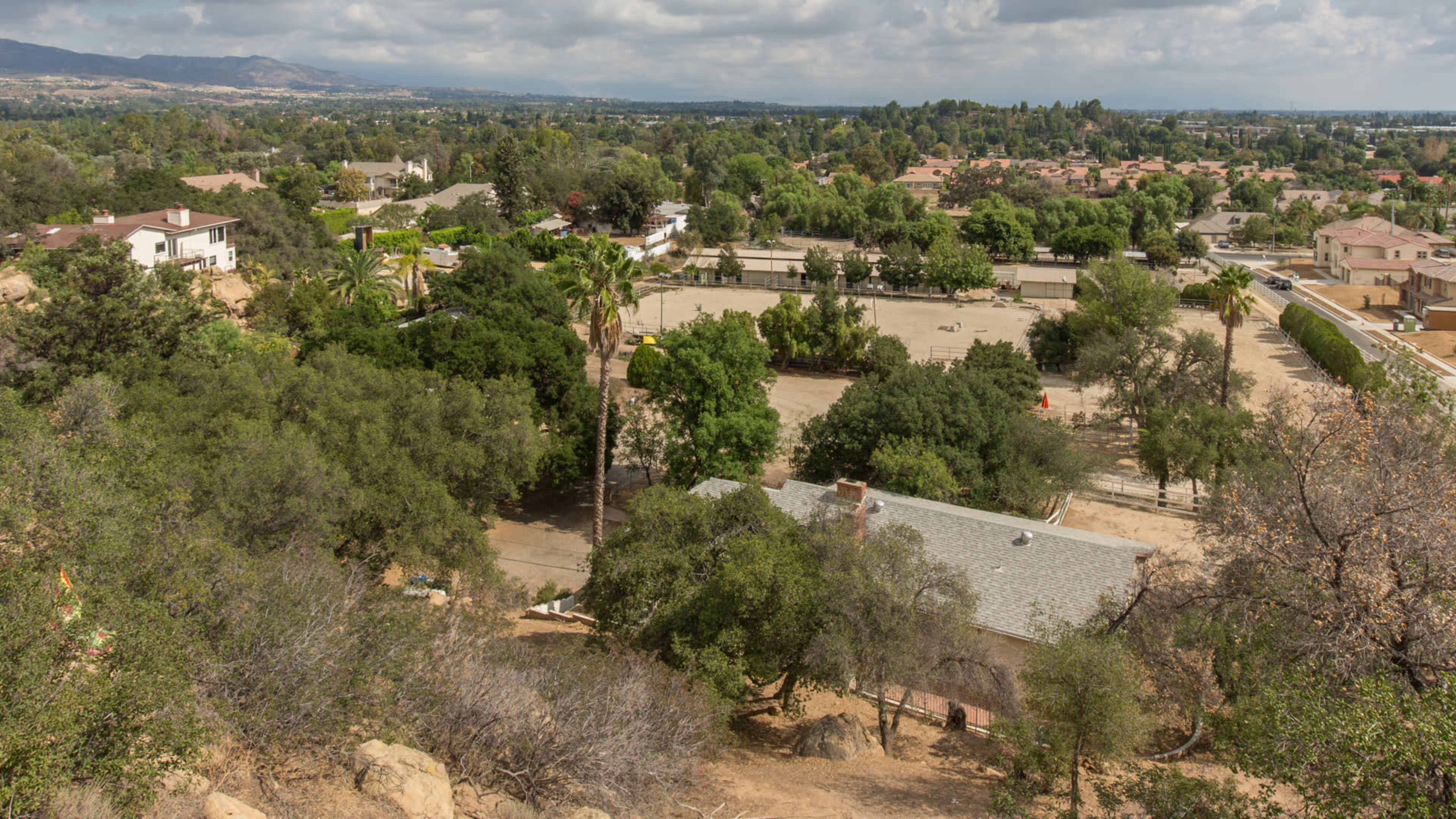 The image shows a panoramic view of a hillside overlooking a residential area with trees, houses, and a sandy equestrian arena.