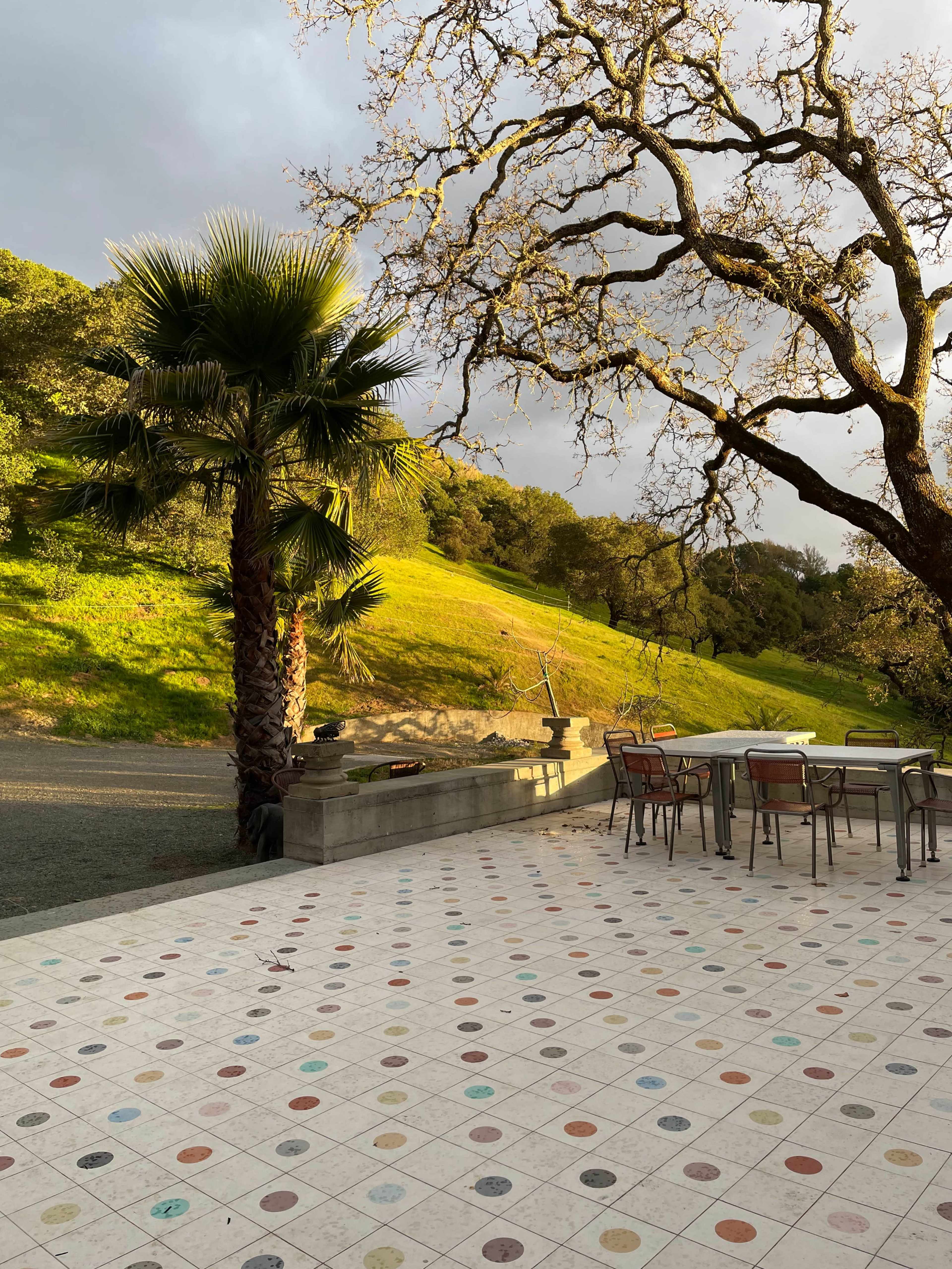 The image shows a patio with a colorful tiled floor, overlooking a grassy hillside framed by trees, including a palm tree.