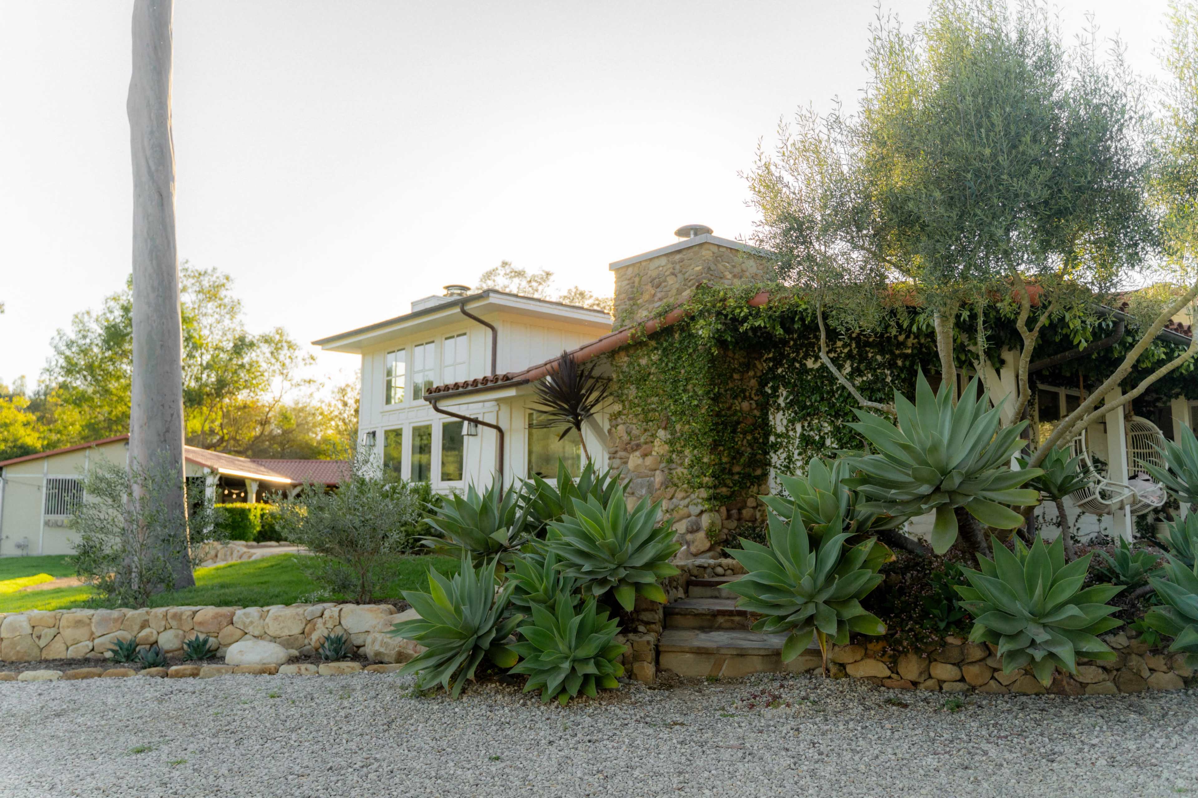 A modern house with a stone exterior is surrounded by large succulent plants and greenery in a landscaped yard.