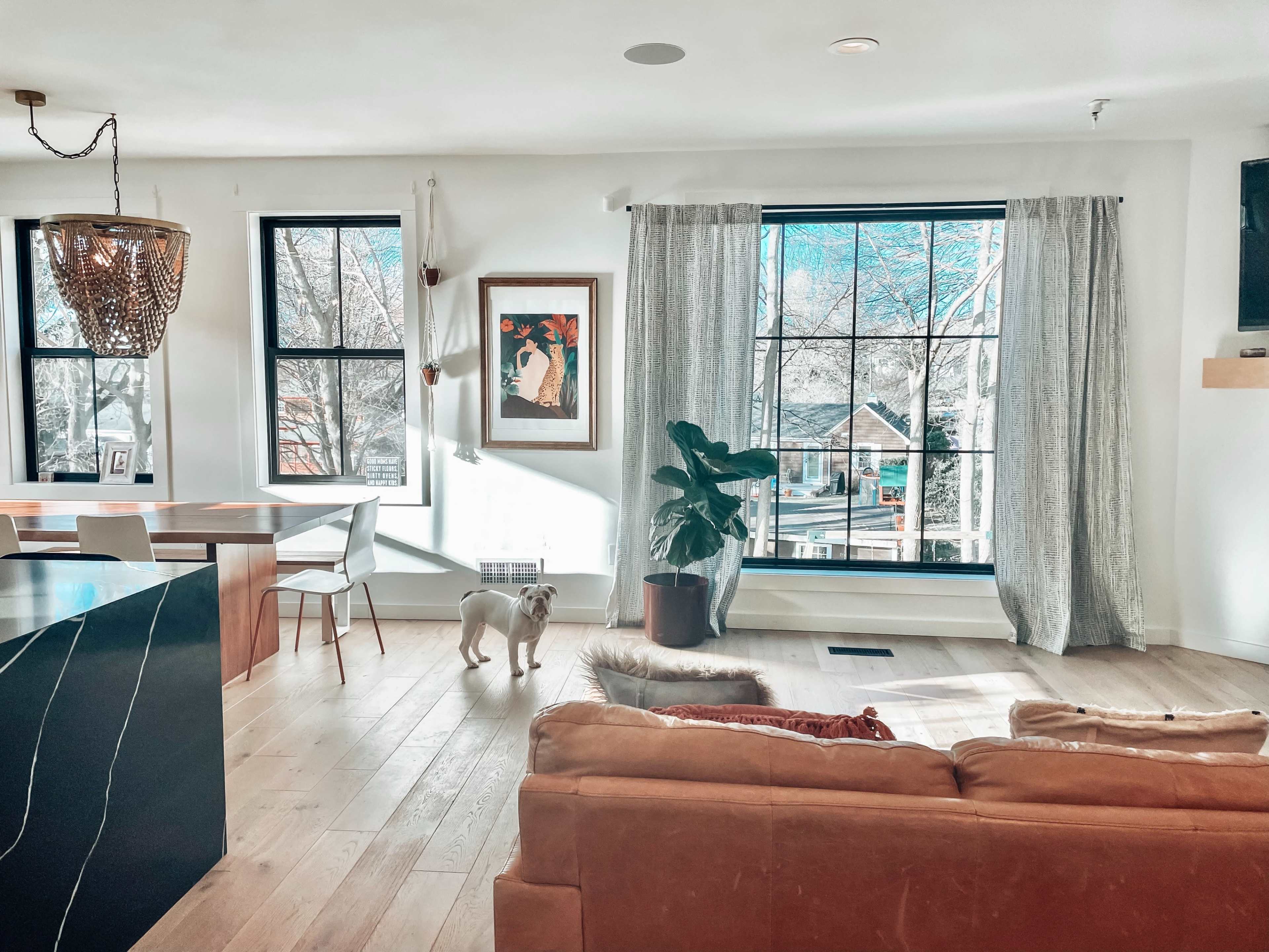 A light-filled living space features a brown sofa, a small dog, a large window with sheer curtains, and a decorative plant.
