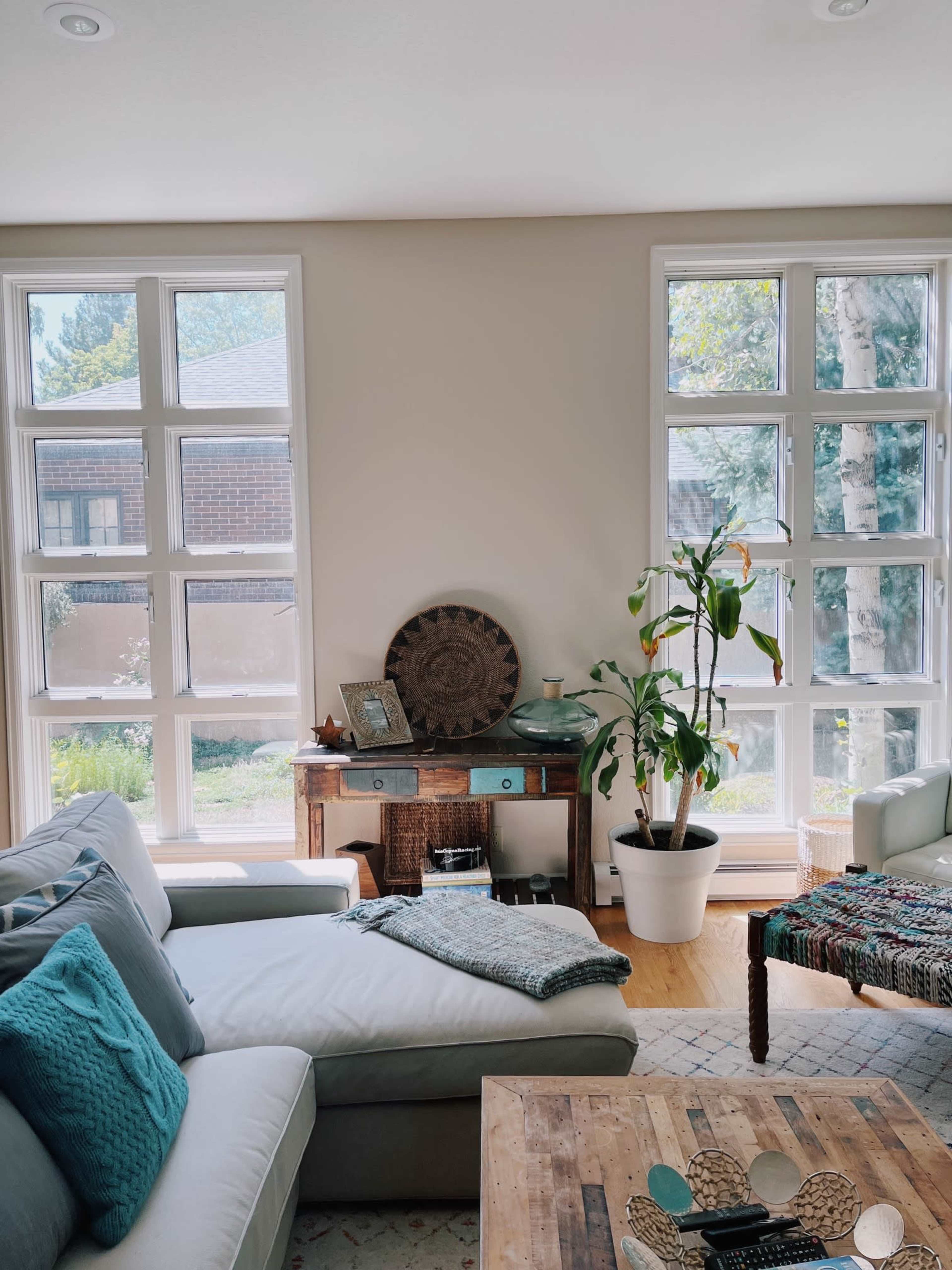 A bright living room featuring a sectional couch, a wooden coffee table, and a decorative side table beside a large plant near two windows.
