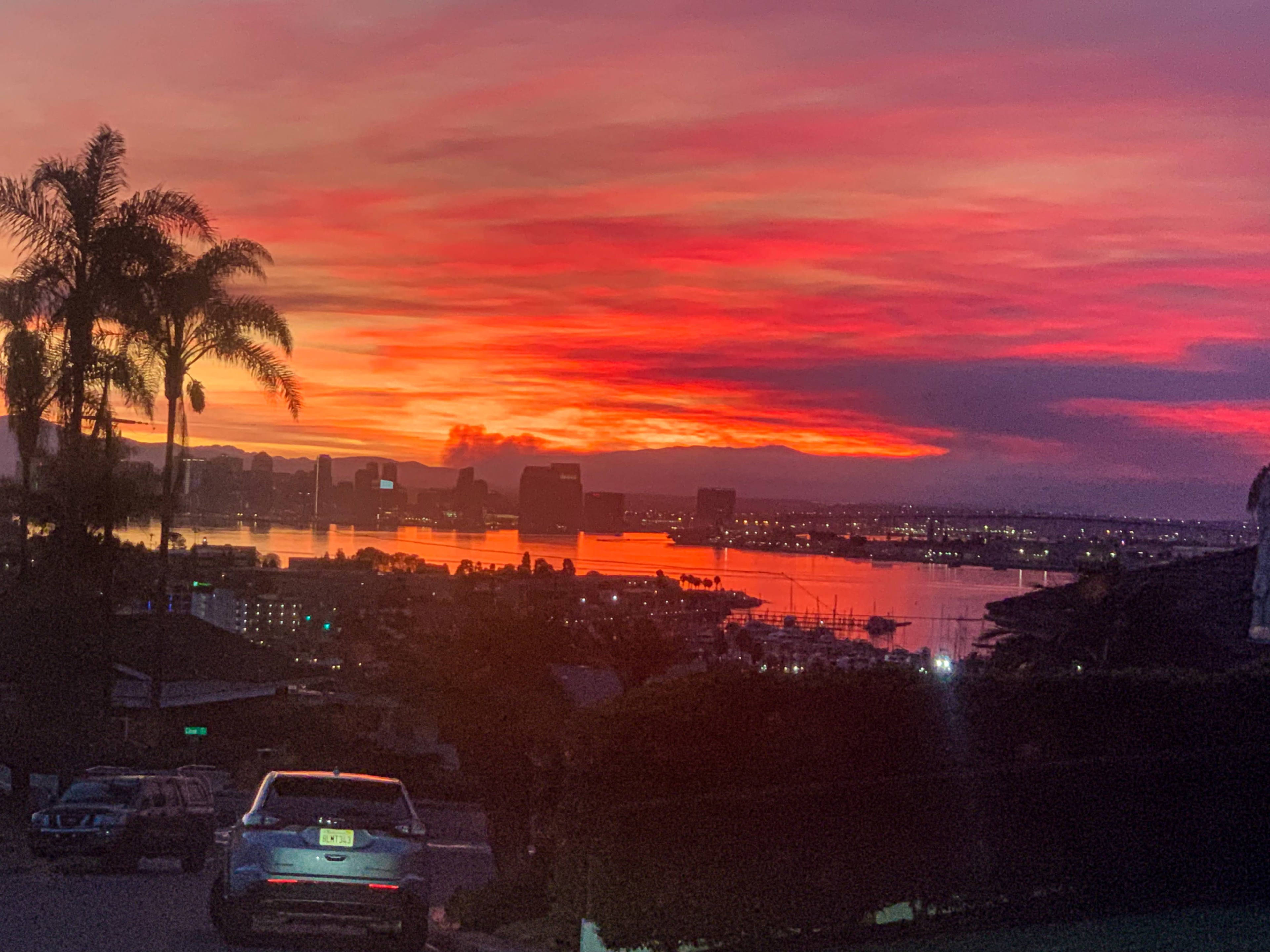 A vibrant sunset casts shades of orange, pink, and purple over the water and skyline of a coastal city, with silhouettes of palm trees in the foreground.