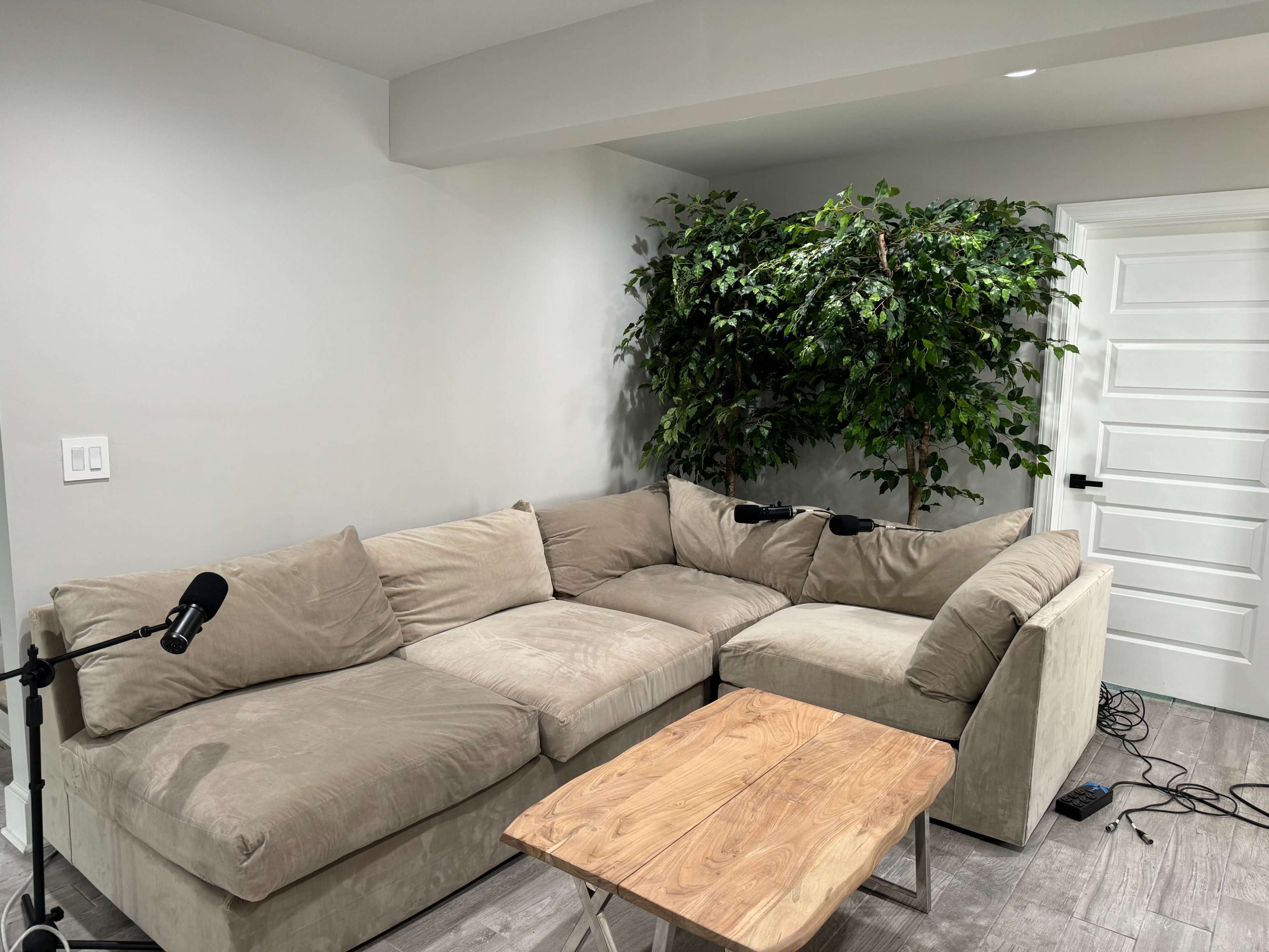 The image shows a beige sectional sofa in a room with light gray walls, a wooden coffee table, and a large potted plant in the corner.
