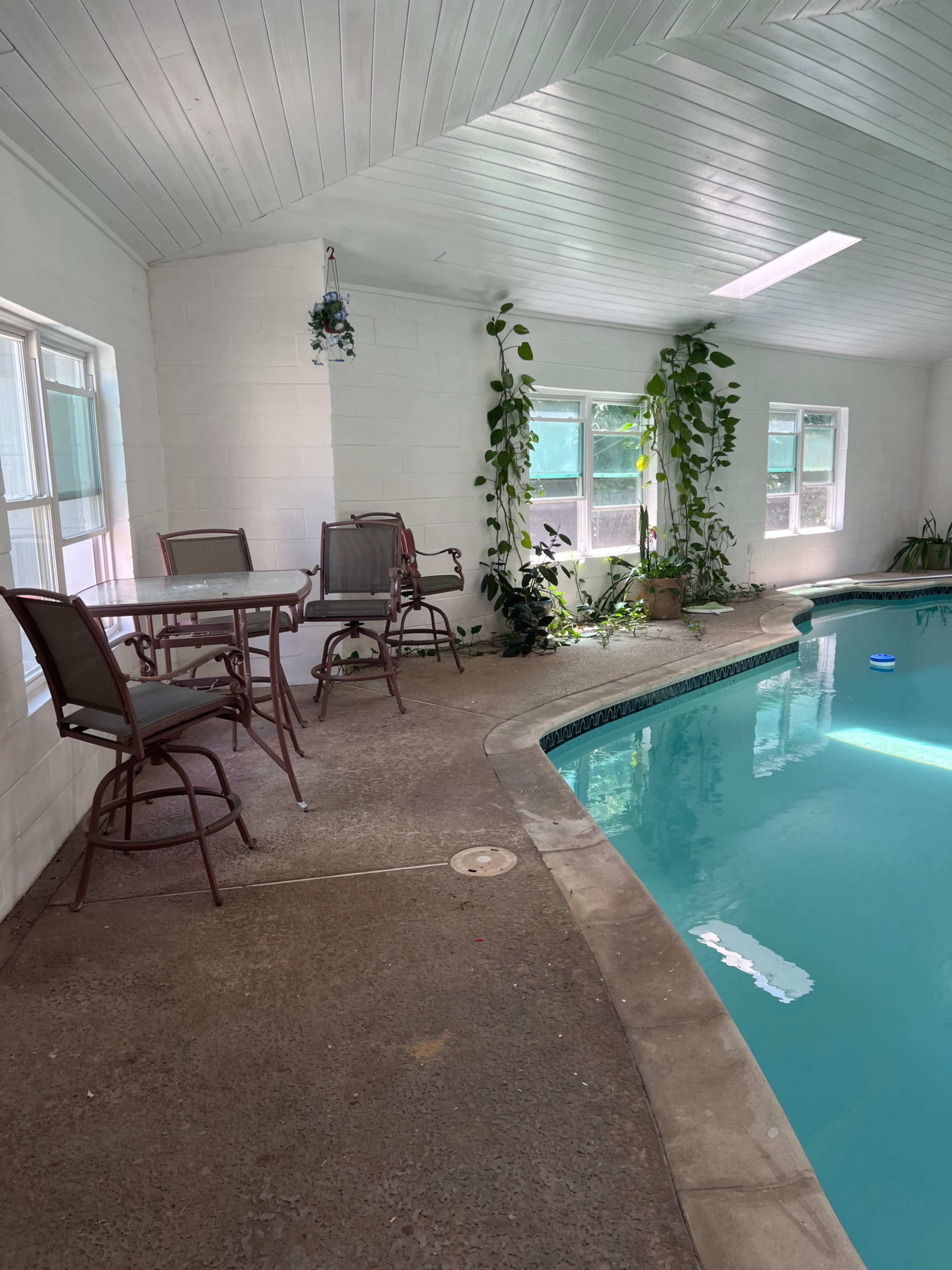 An indoor pool area featuring a concrete floor, a swimming pool, a small table with chairs, and several plants along the walls.