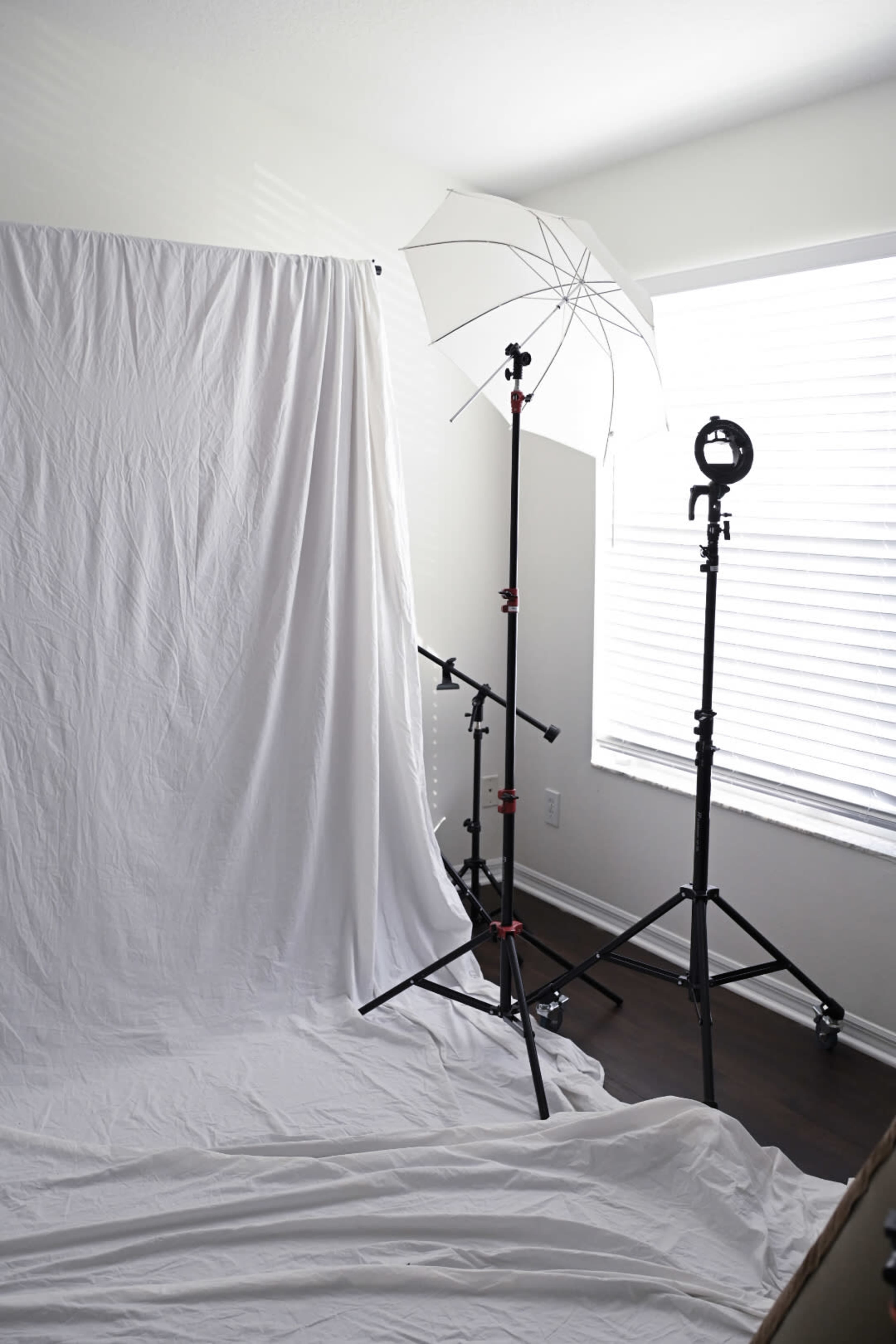 A plain white backdrop is set up in a room with natural light streaming through the window, alongside light stands and an umbrella softbox.