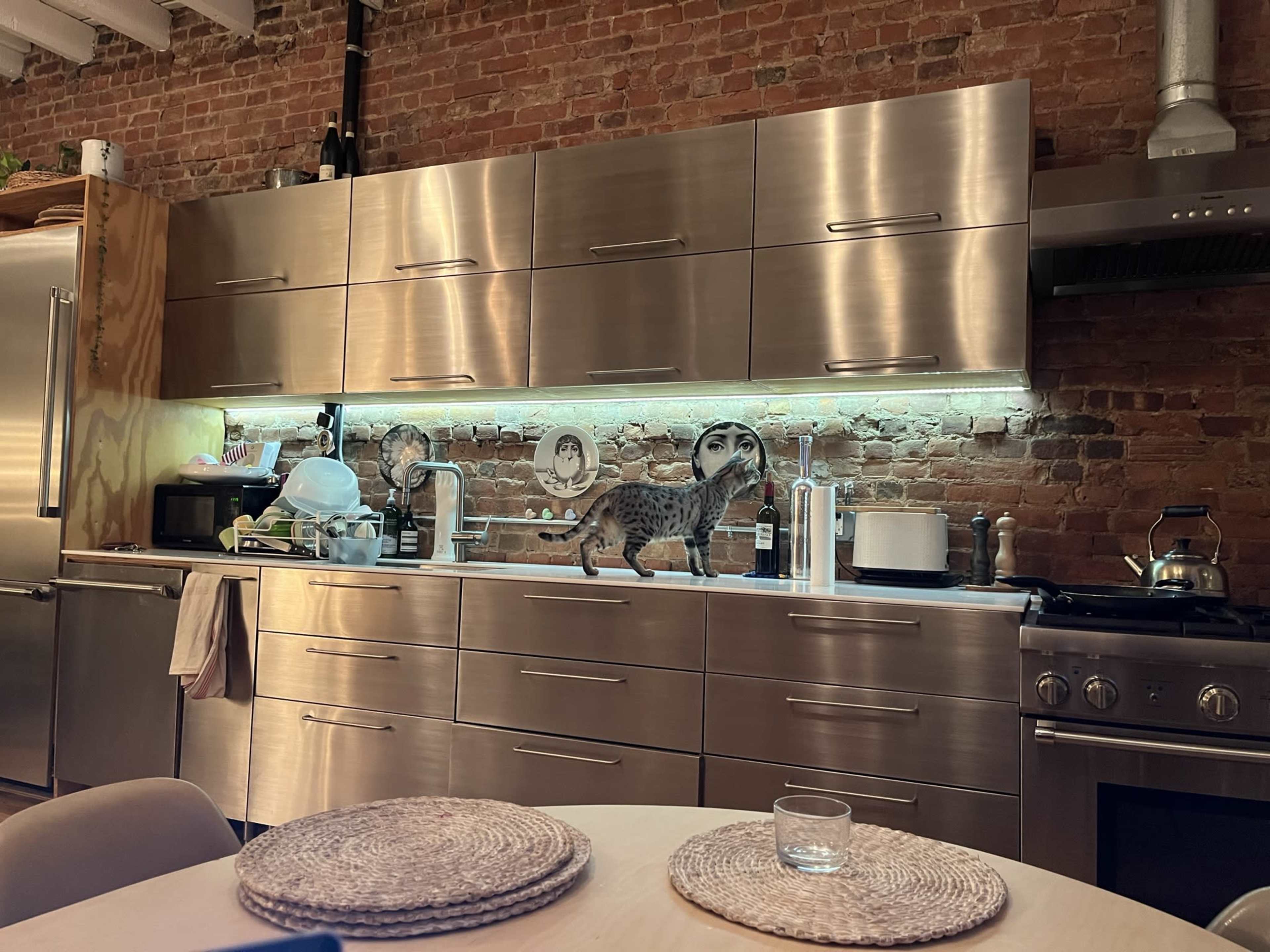 A cat walks along the stainless steel countertop of a modern kitchen with exposed brick walls.