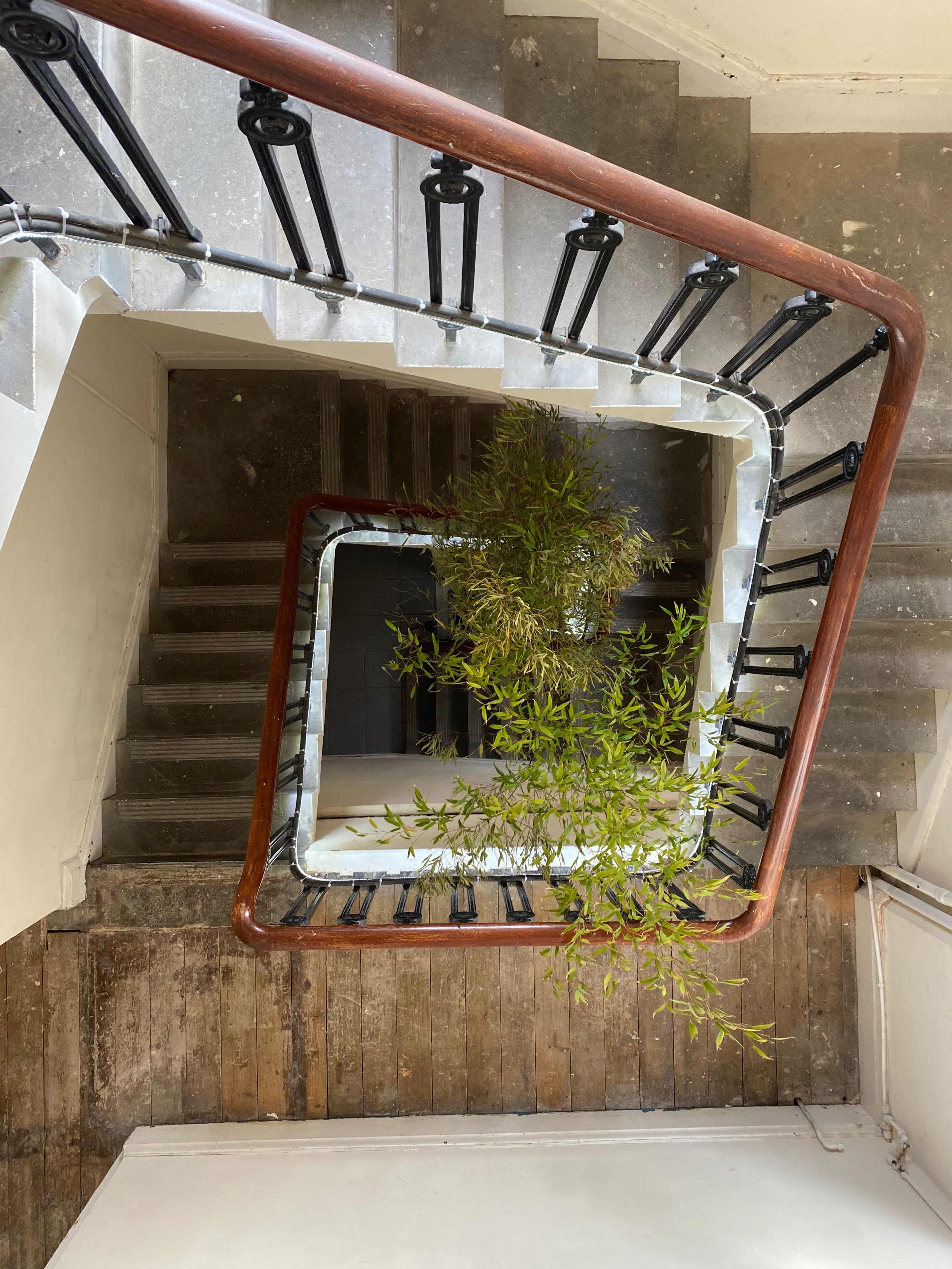 A spiral staircase with a wooden railing surrounds a small plant located at the base of the stairs.