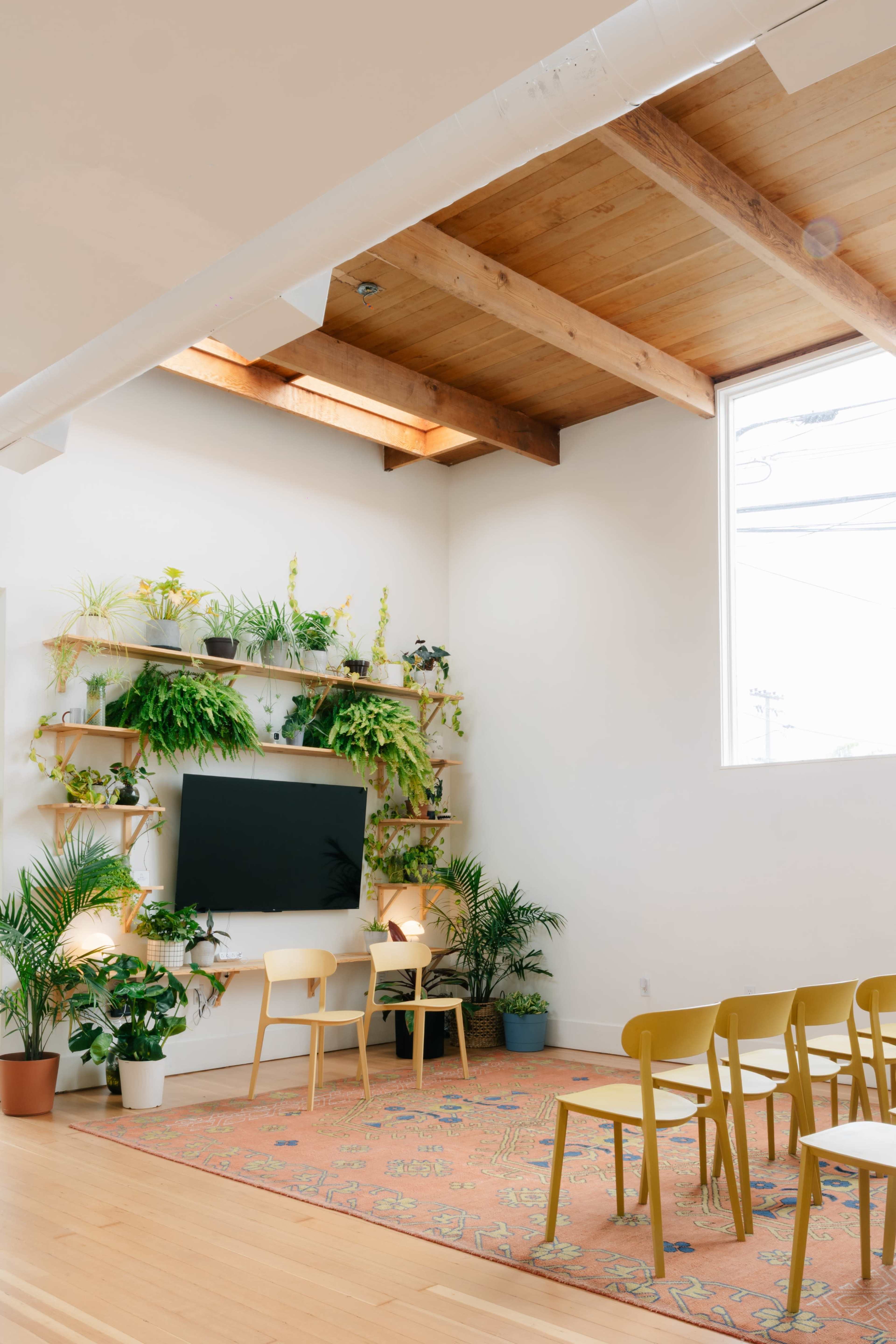 A bright, modern room features a wall-mounted television, wooden beams, and shelves adorned with various plants, complemented by a seating area of yellow chairs arranged on a decorative rug.