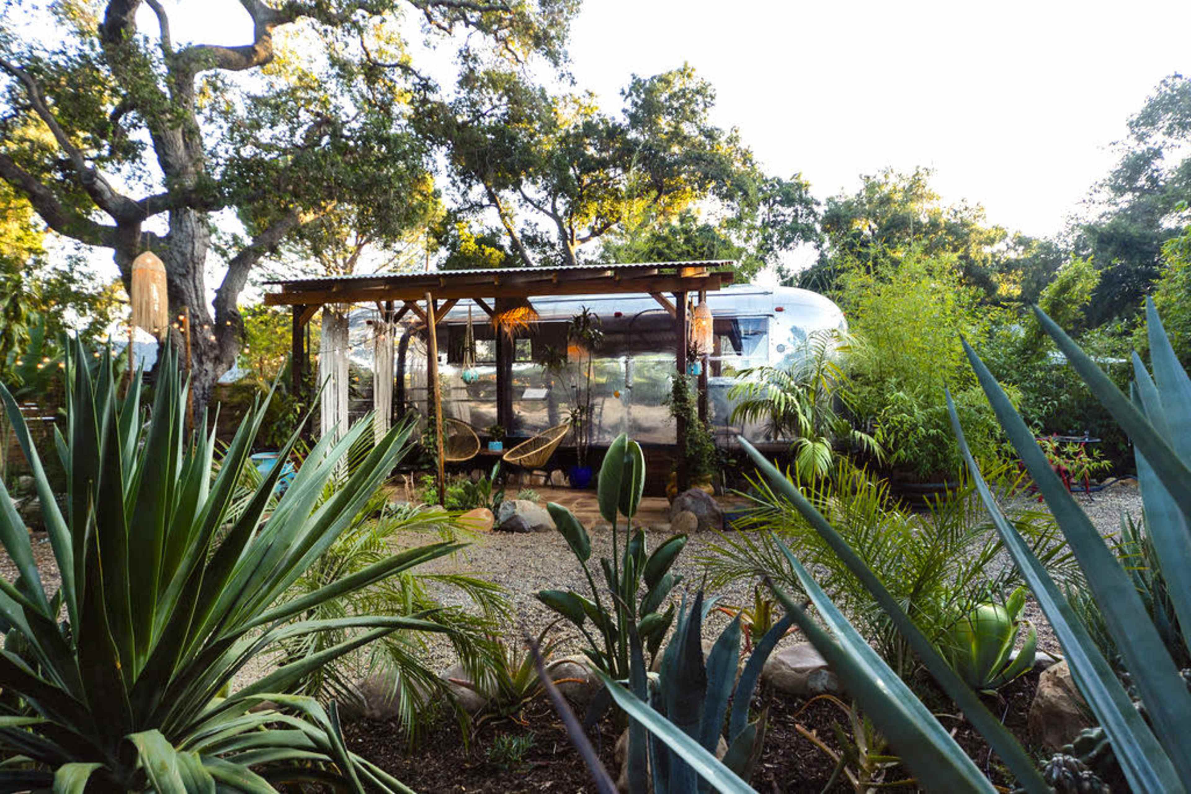 A silver Airstream trailer is nestled among various plants and a wooden structure in a landscaped garden.