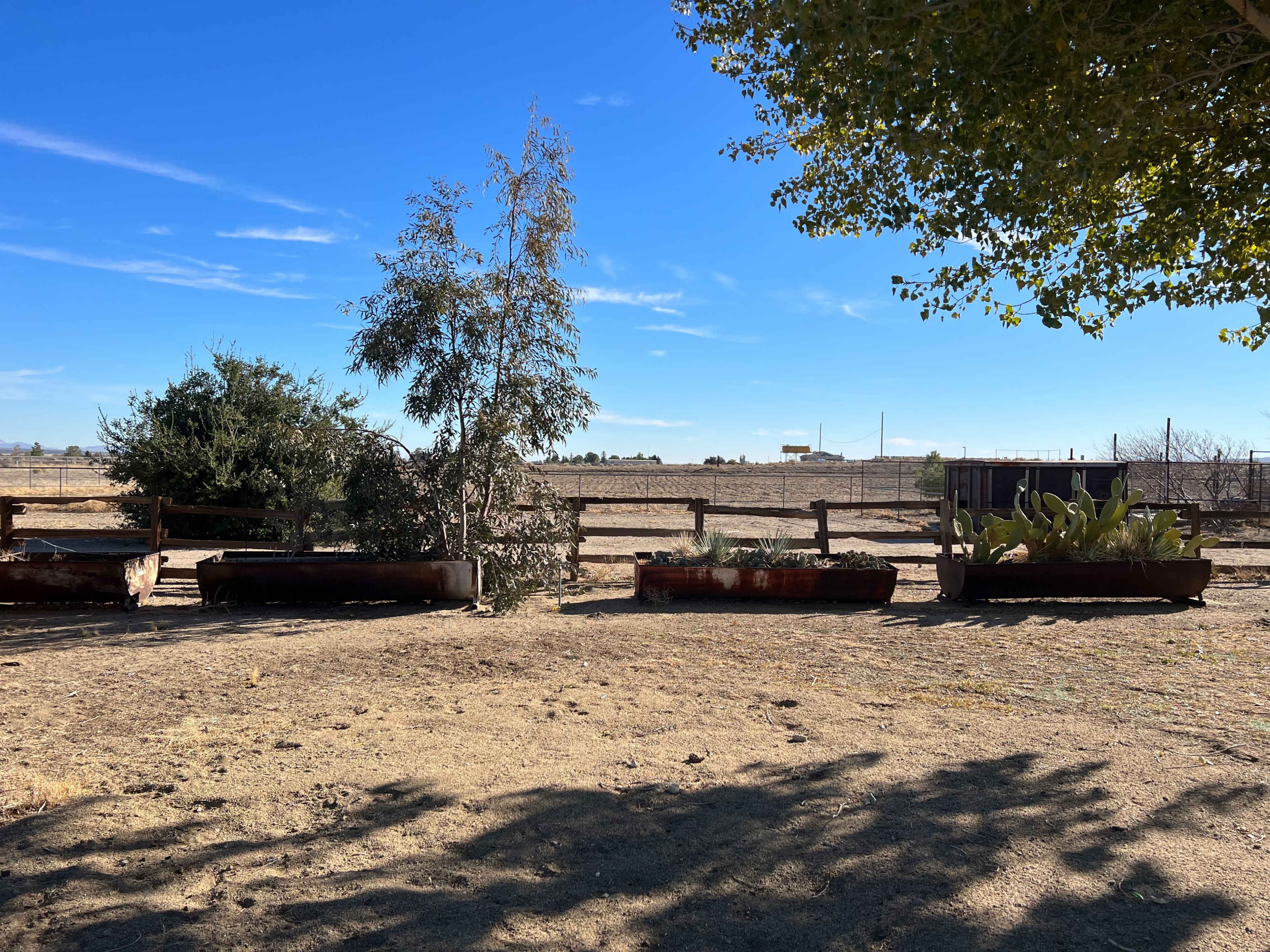 A dry, open landscape with large metal planters containing plants and a couple of trees against a clear blue sky.