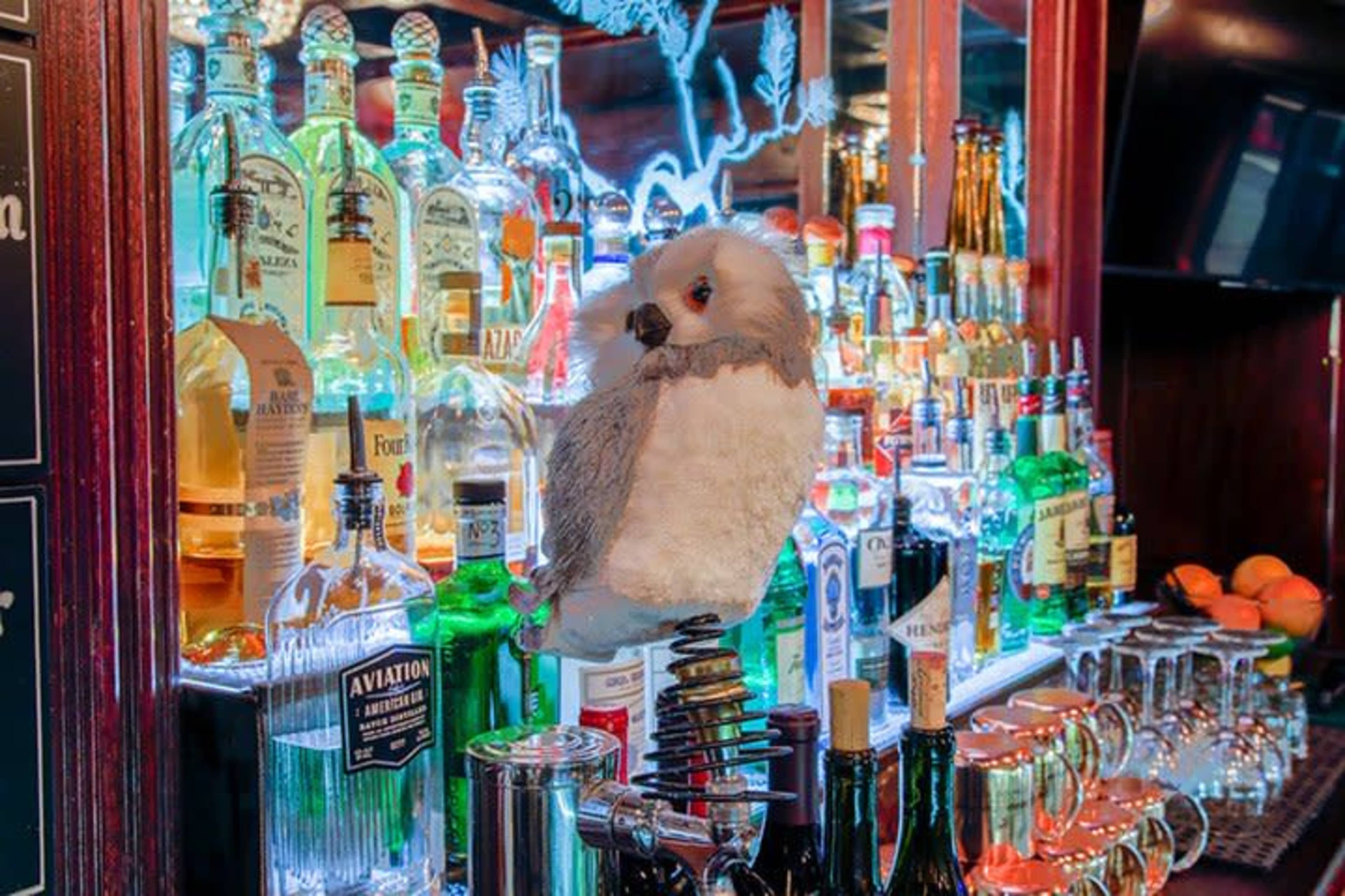 A stuffed owl sits on a bottle opener at a bar, surrounded by various bottles of liquor displayed on the back shelf.