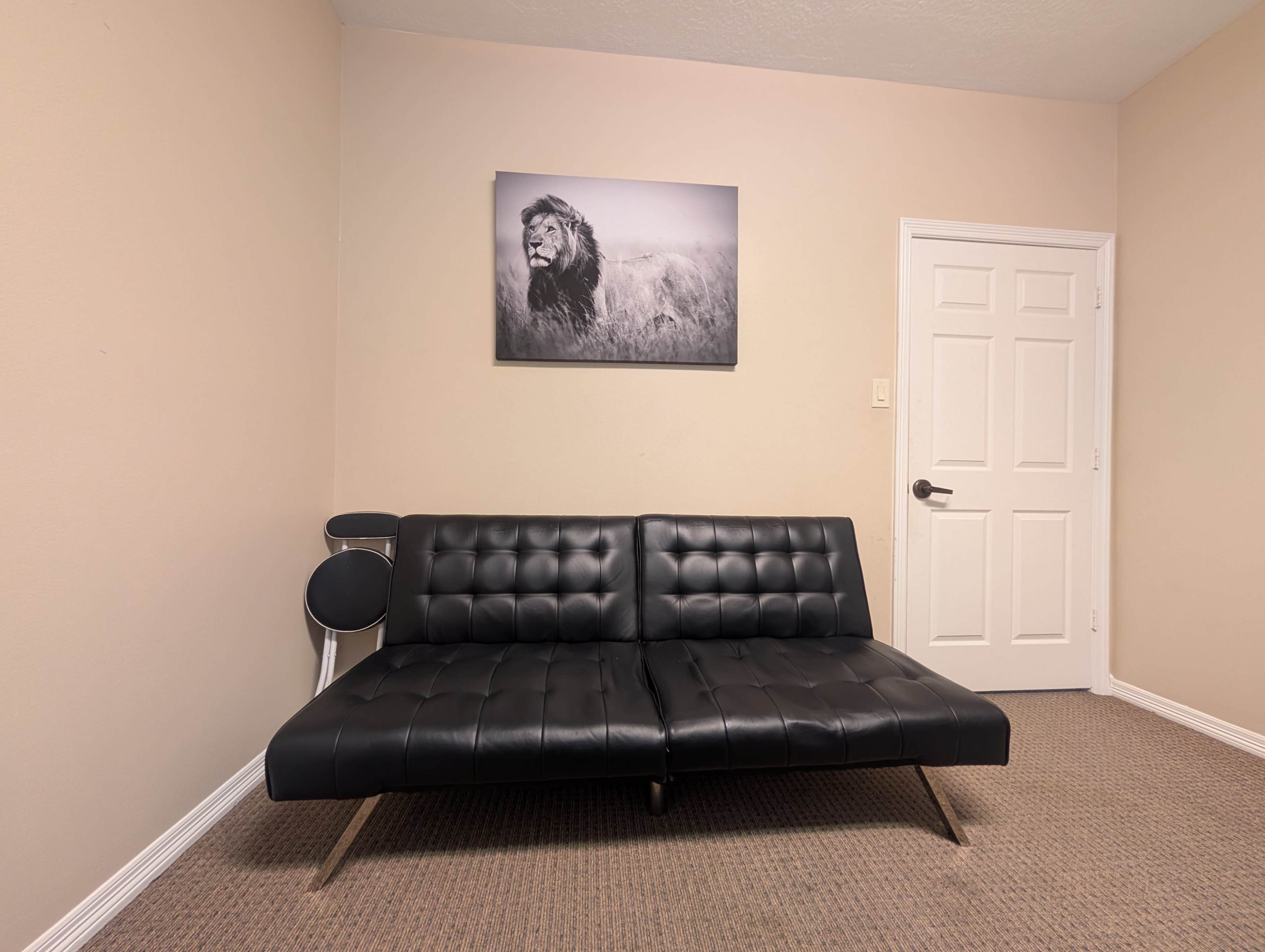 A black futon is positioned against a beige wall, with a framed black-and-white photograph of a lion above it and a closed door to the right.