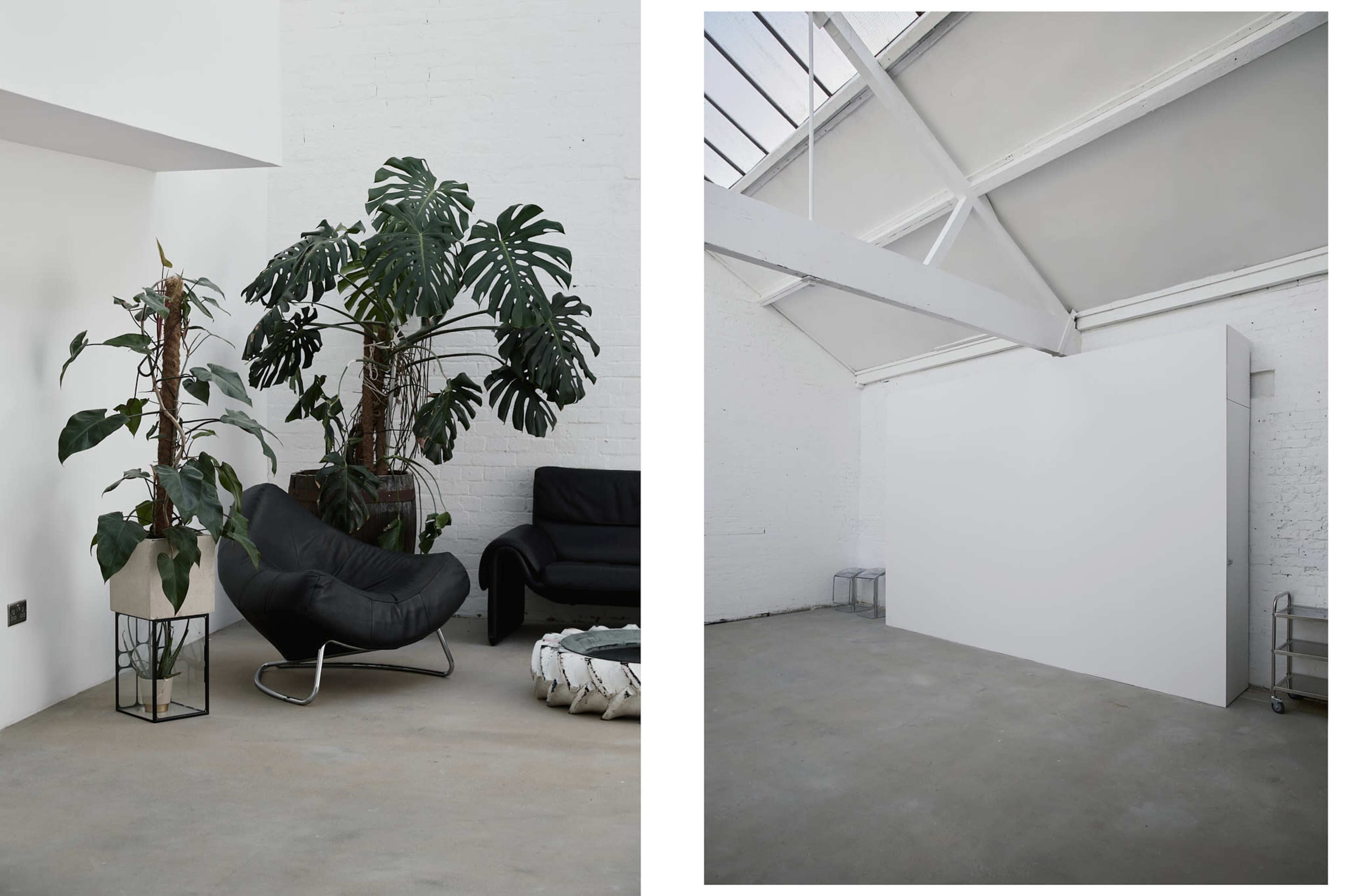 The image features a modern interior space with a black chair and large plants on one side, and a minimalistic white wall opposite in a bright, open environment.