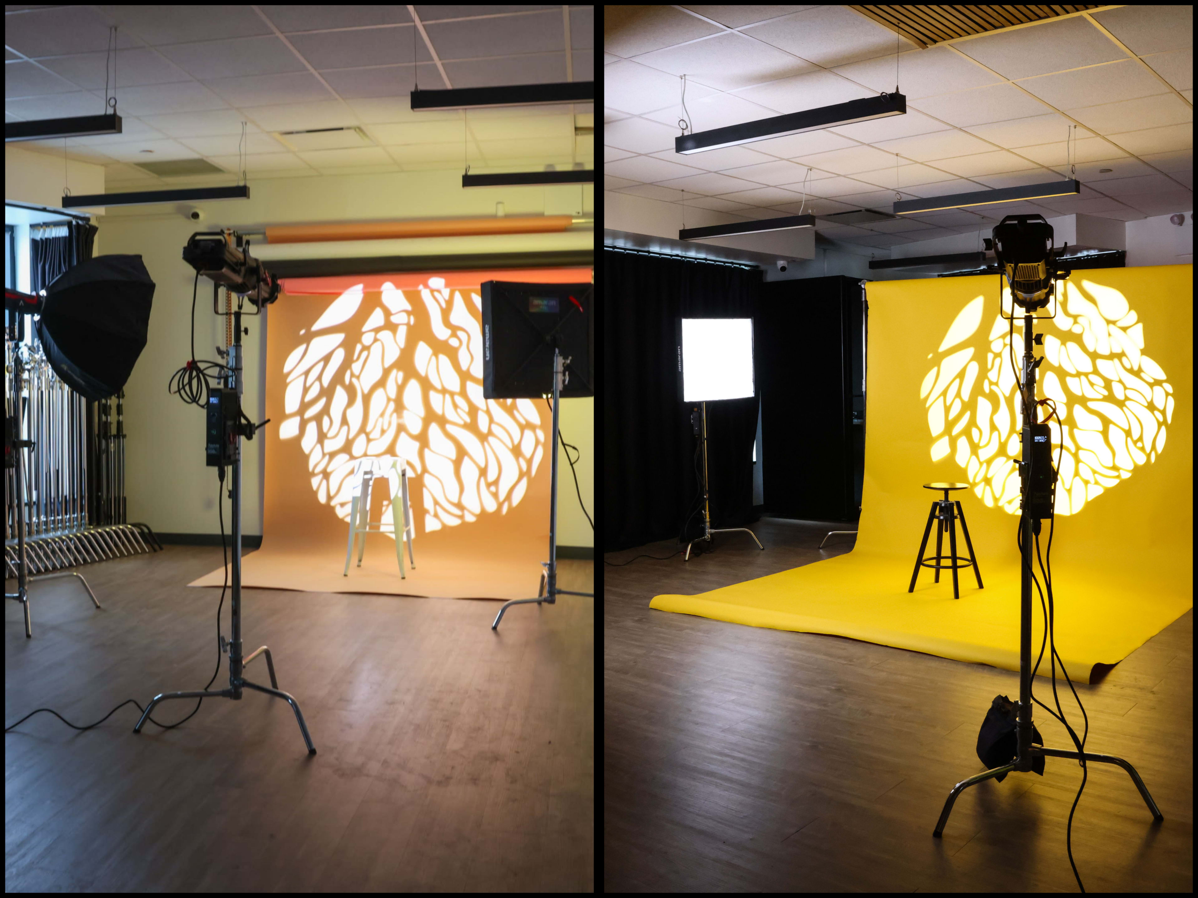 The image shows two photography studio setups: one featuring a light orange backdrop with a tree branch design and the other with a bright yellow backdrop and lighting equipment.