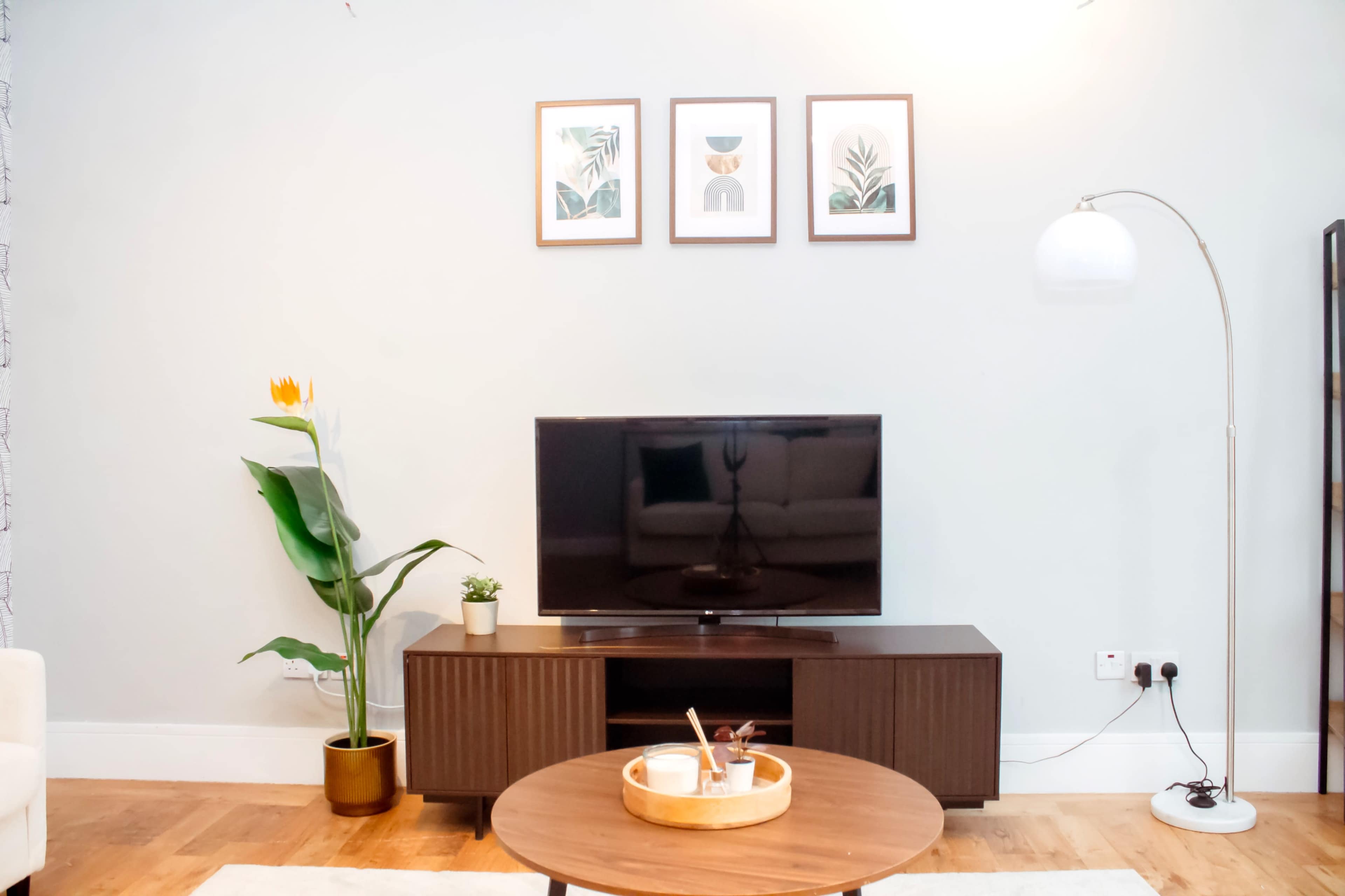 The living room features a television on a wooden cabinet, a round coffee table with items, a tall indoor plant, and framed artwork hanging on the wall.